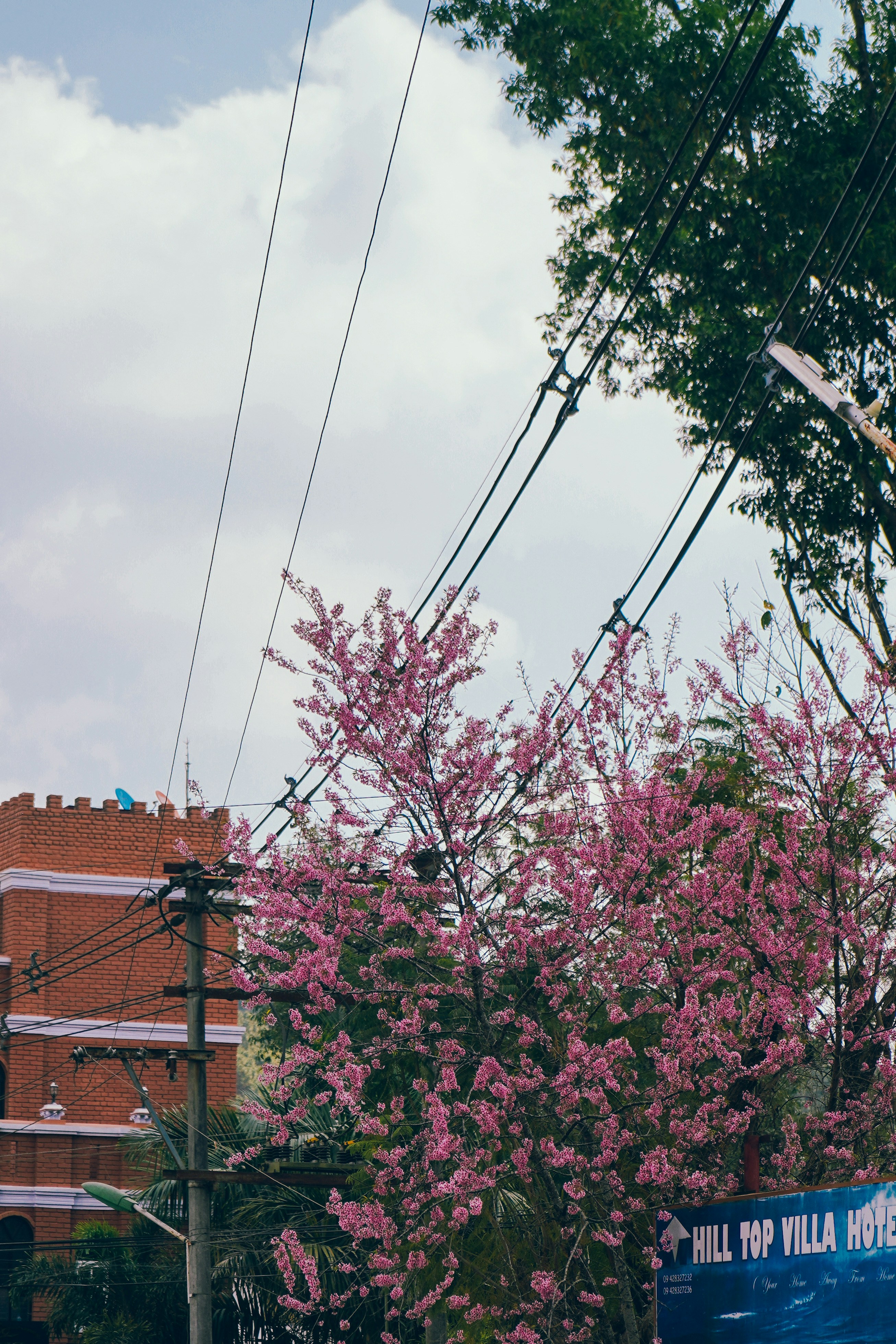 Photo by apertureblade