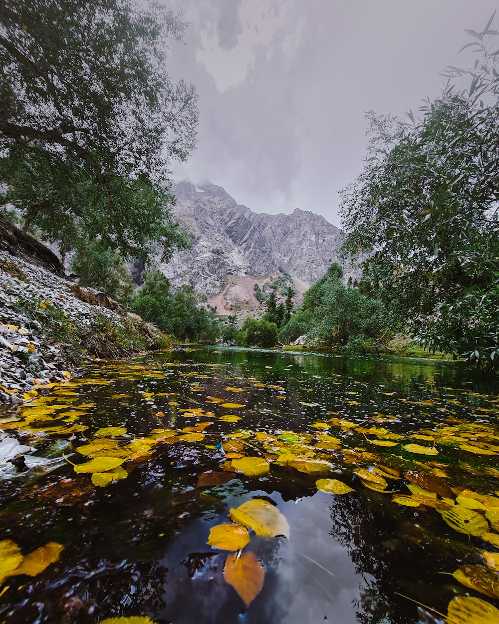 a body of water surrounded by trees and yellow leaves