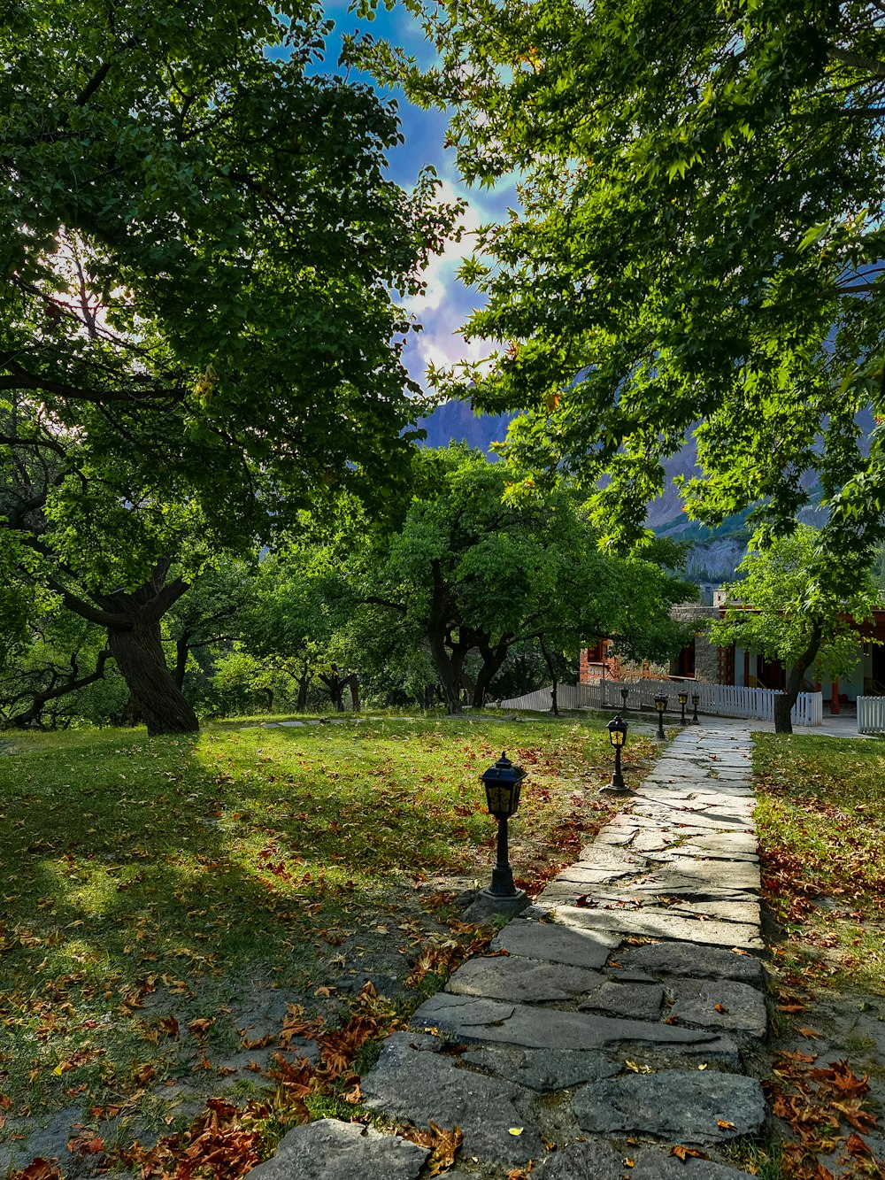 a stone path in a park with a fire hydrant