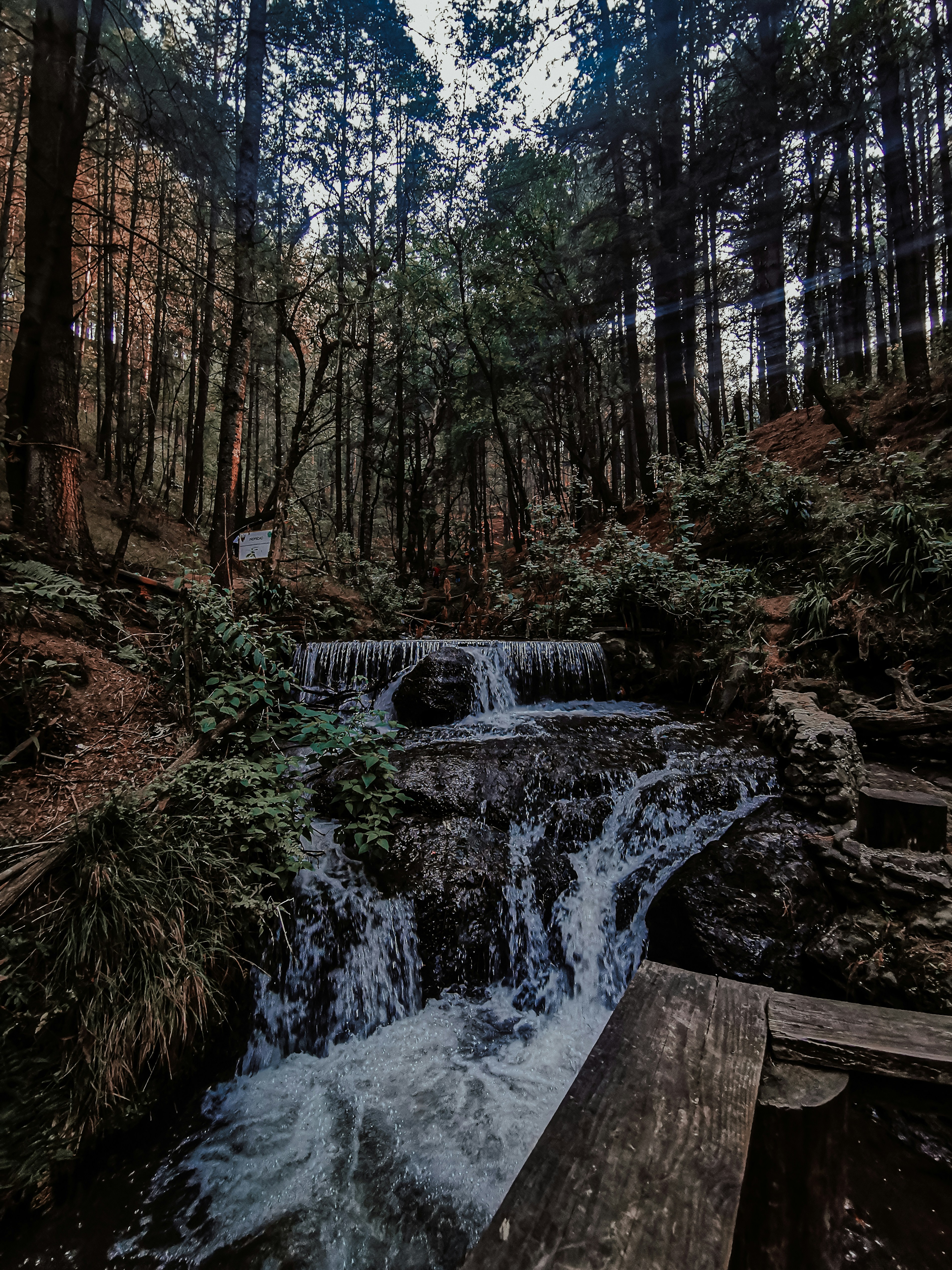 a small waterfall in the middle of a forest