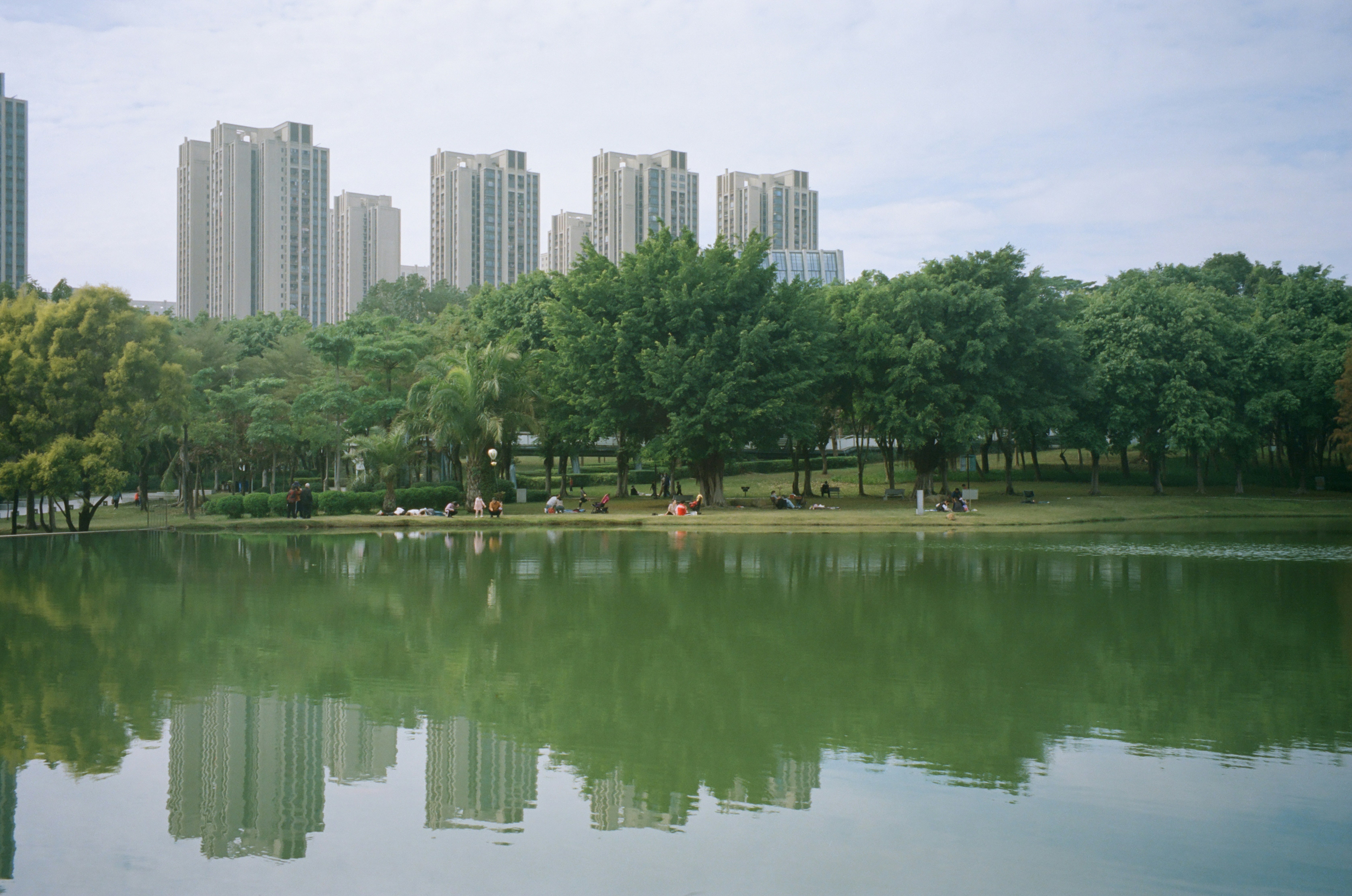 Photo by greedwolf97