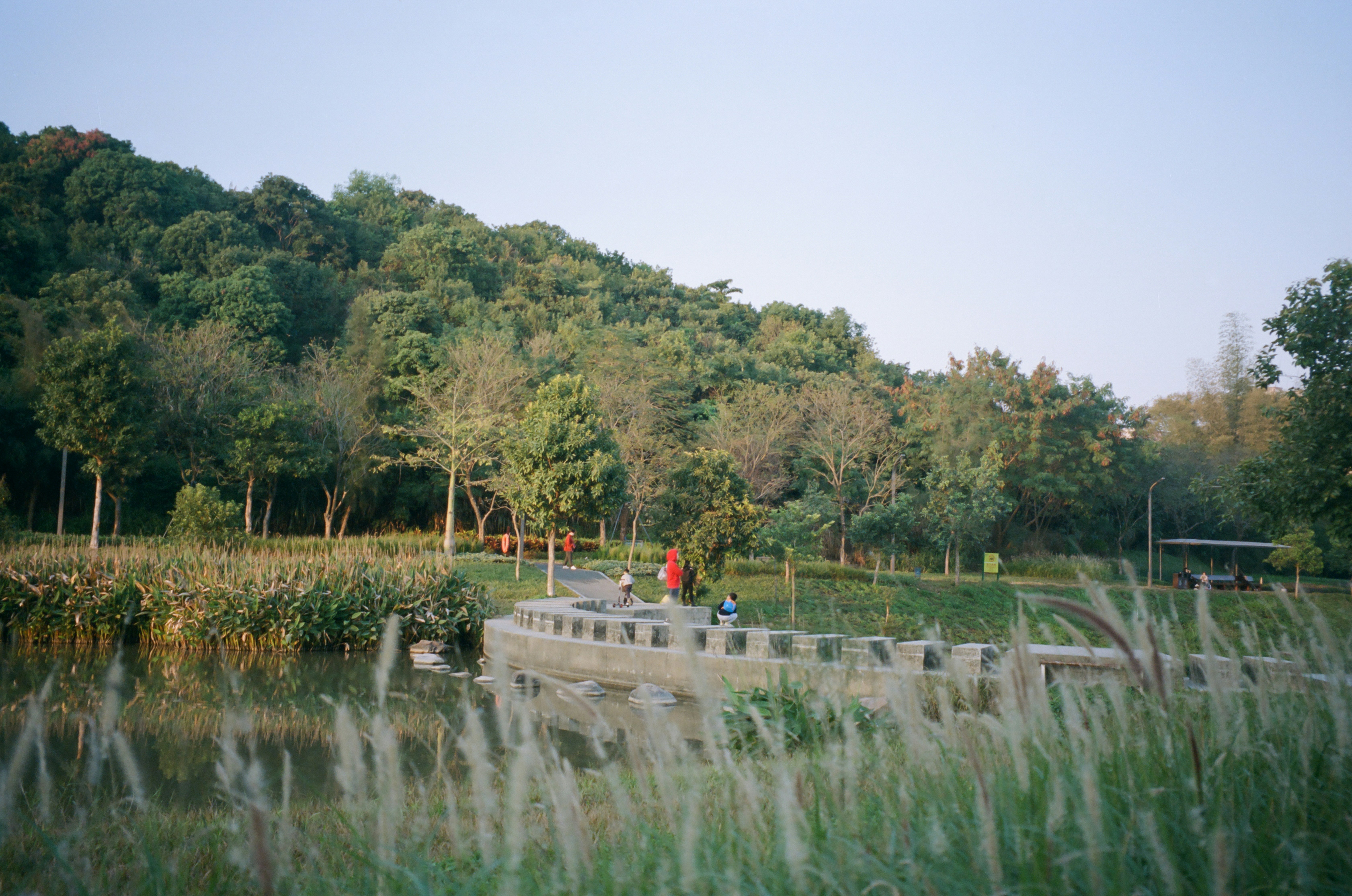 문경 돌리네습지 관련 이미지2