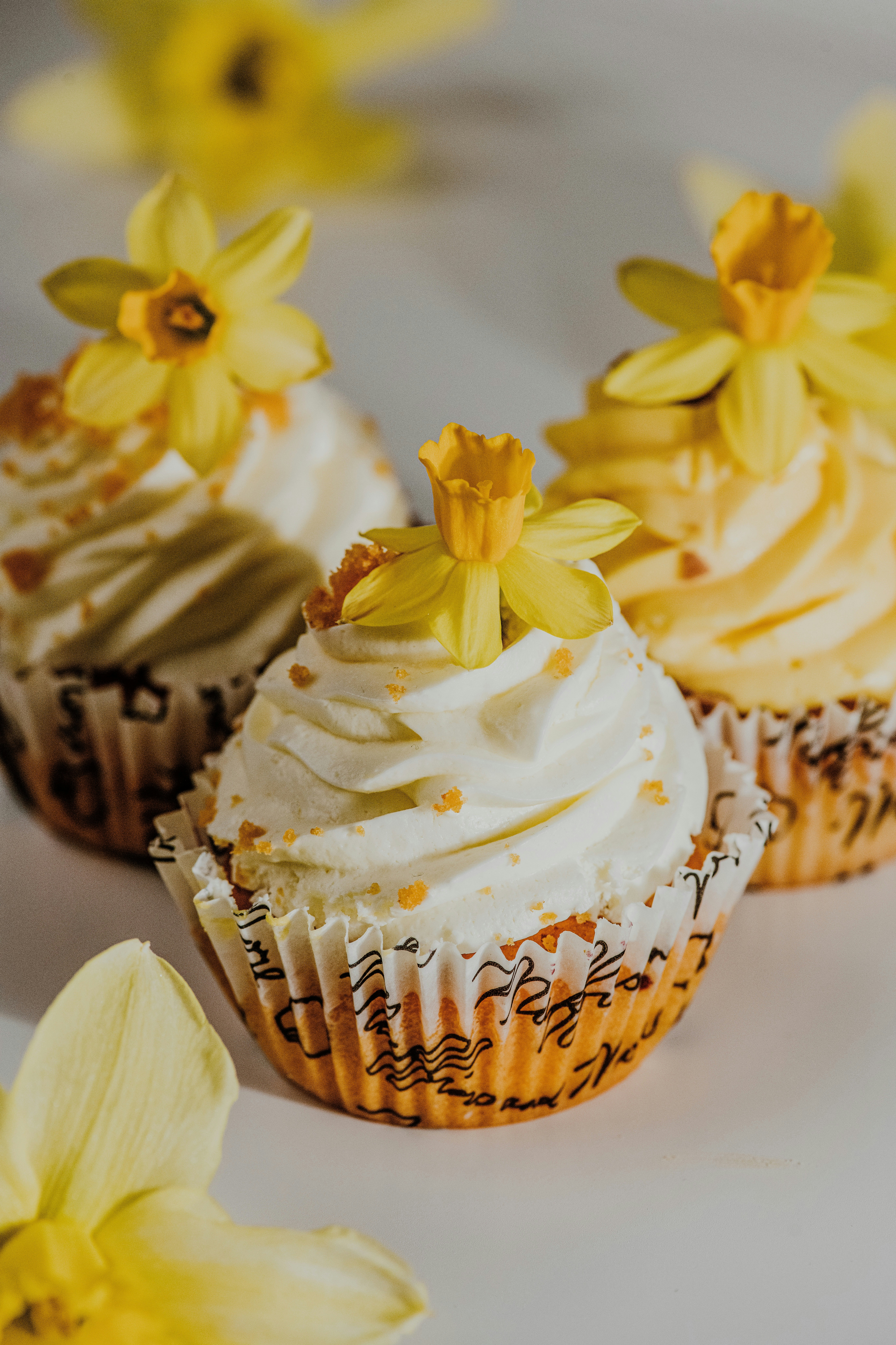 Photo by anitaaustvika