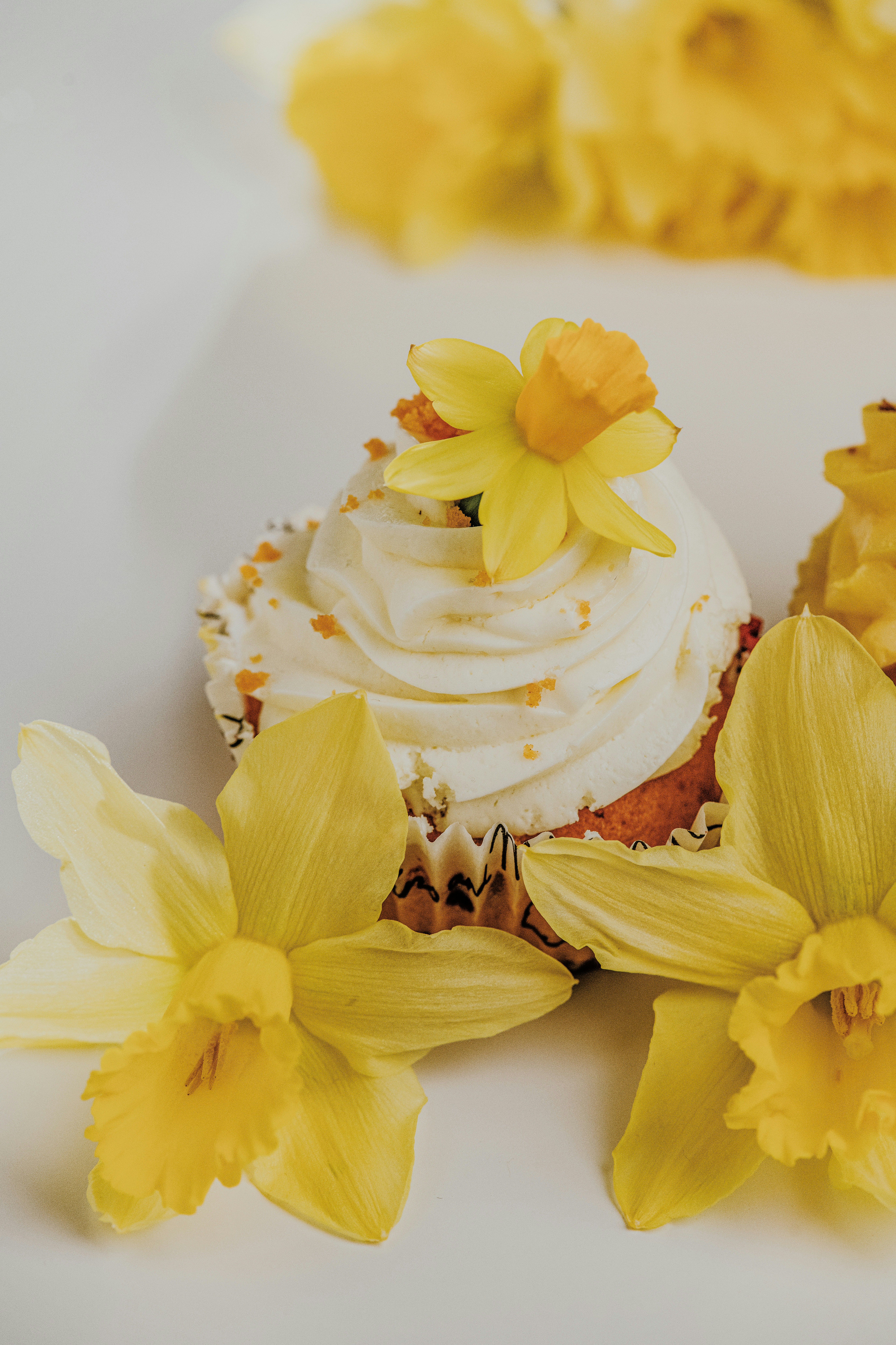 Photo by anitaaustvika