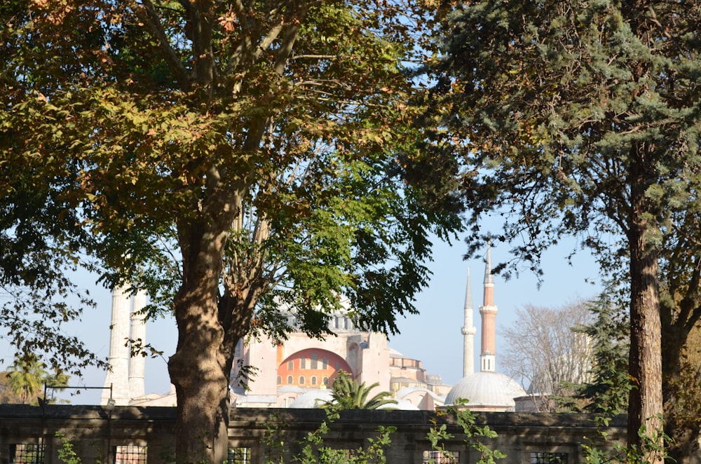 a view of a mosque through some trees