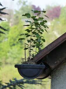 Seamless gutter installation on a modern home with lush greenery in the background.