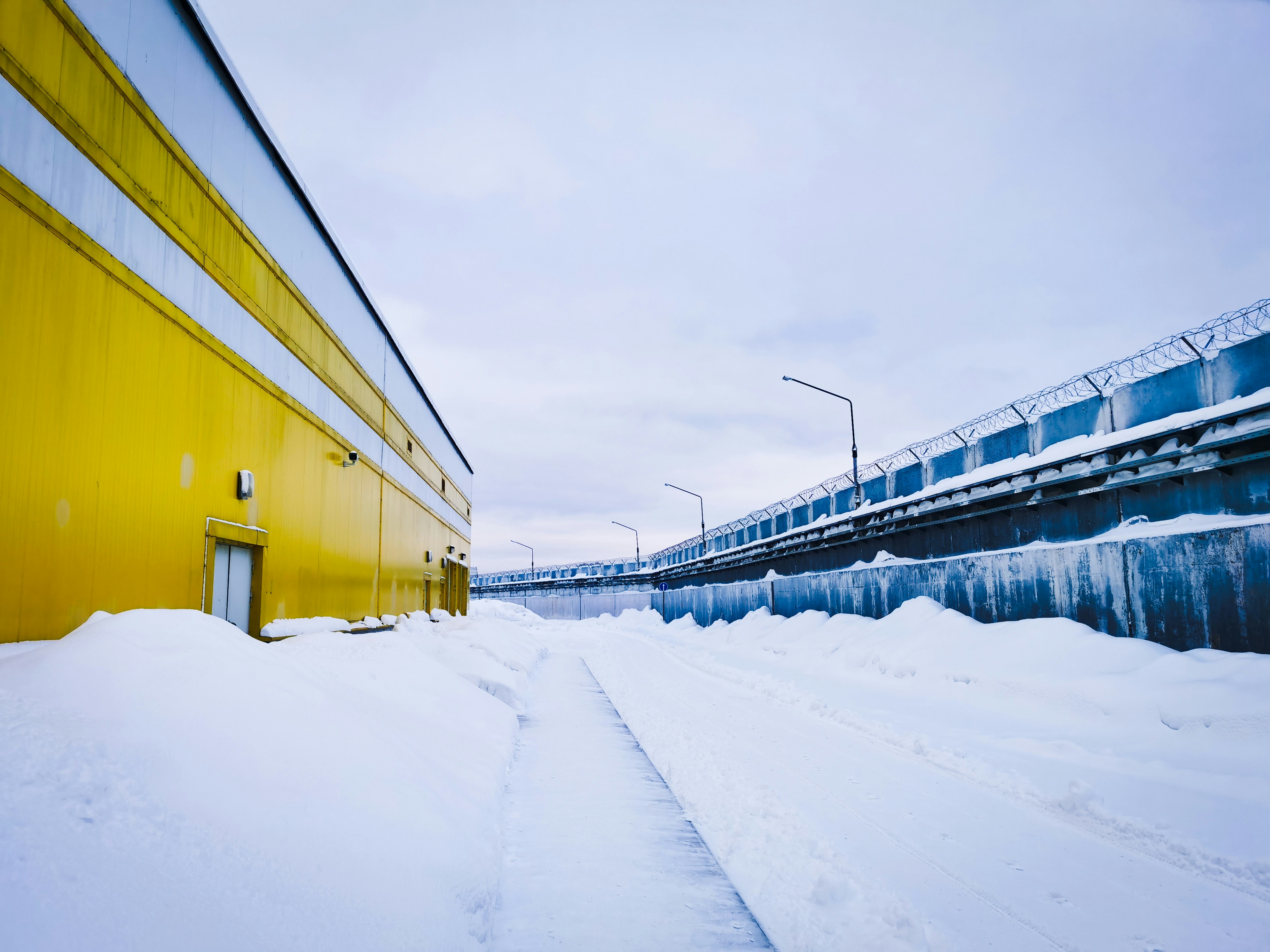 Cold Chain Logistics: What Real-Time Temperature Data Actually Saves Your Carrier