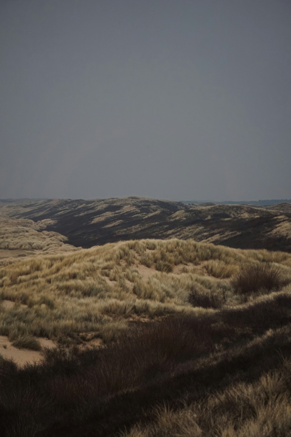 a view of a grassy plain with a sky in the background