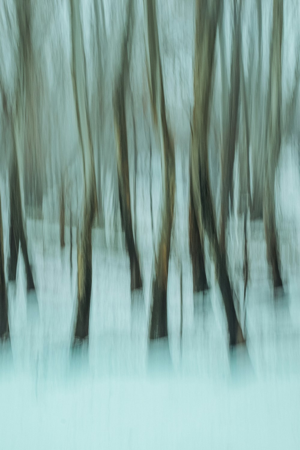 a blurry photo of trees in the snow