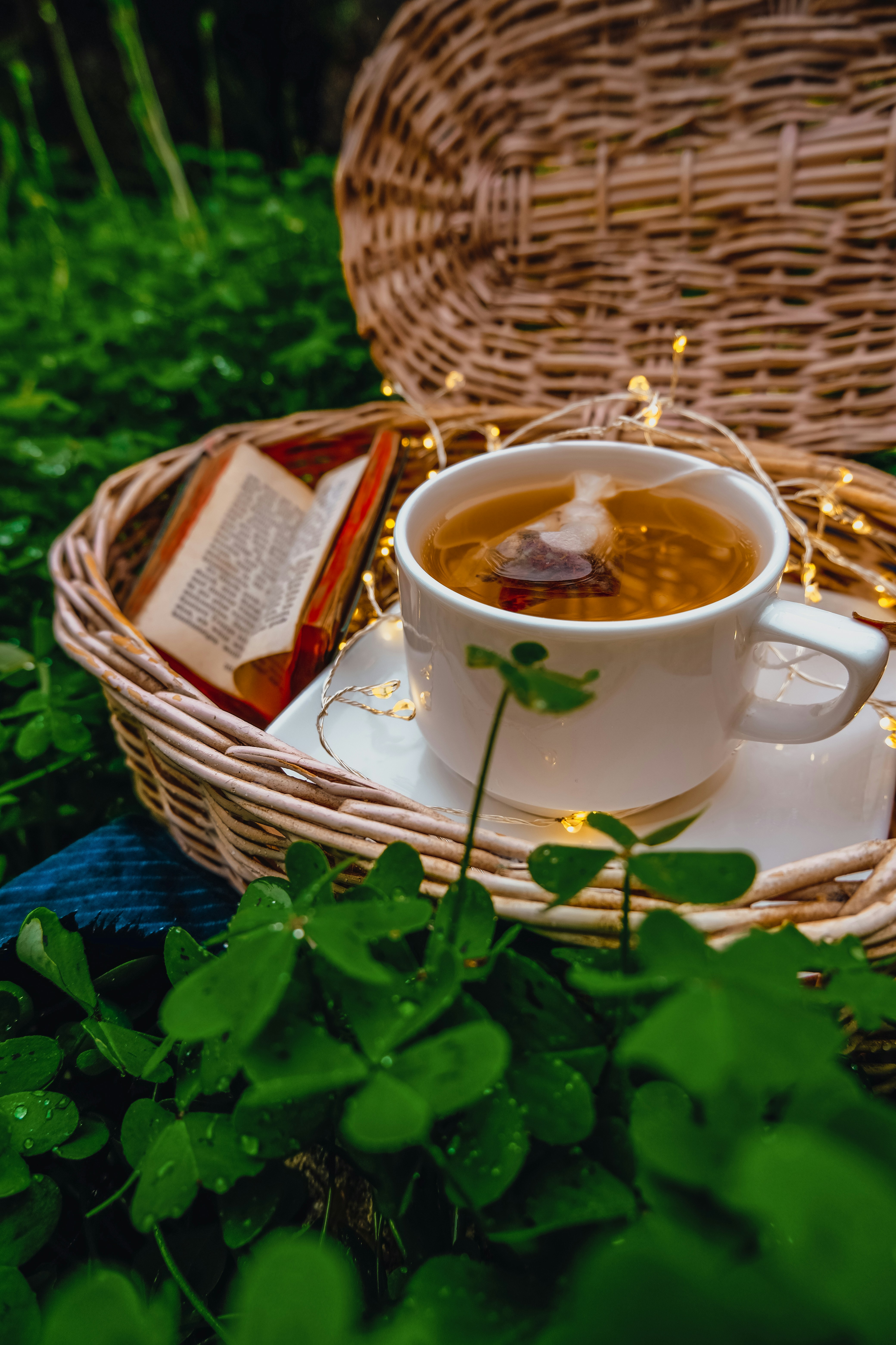 Photo by helloaesthe