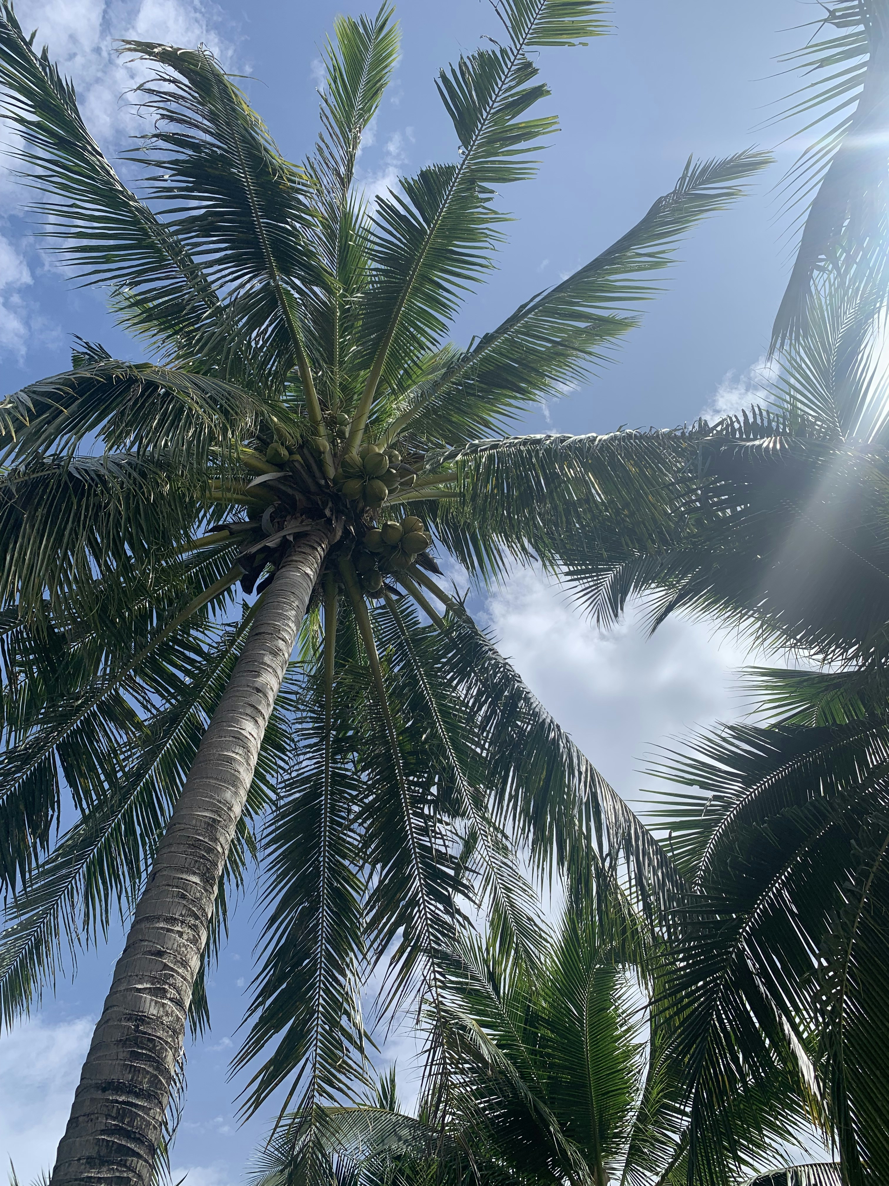 Photo by worldexplorer