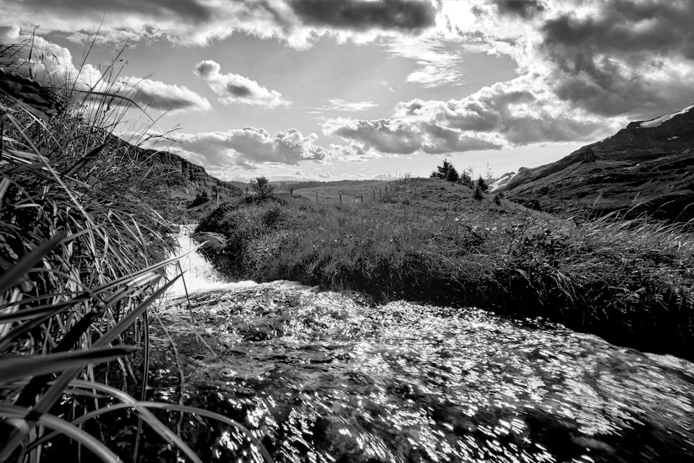 a stream running through a lush green field