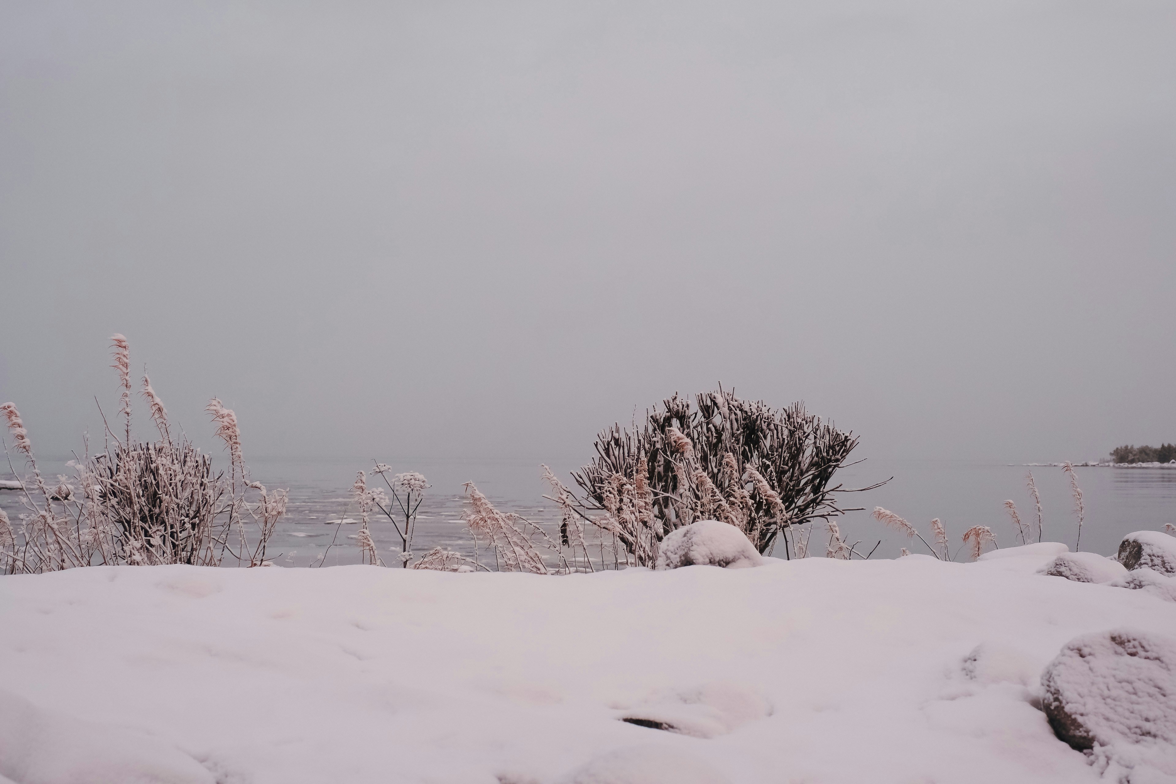 Photo by fredrikohlander