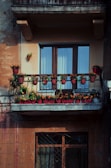 Balcony adorned with potted plants overlooking the charming San José neighborhood.