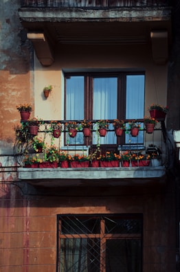 Balcony adorned with potted plants overlooking the charming San José neighborhood.