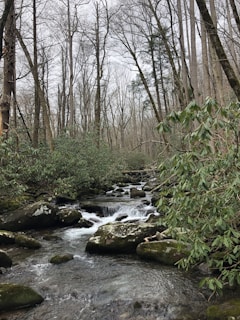 Tennessee luxury resorts