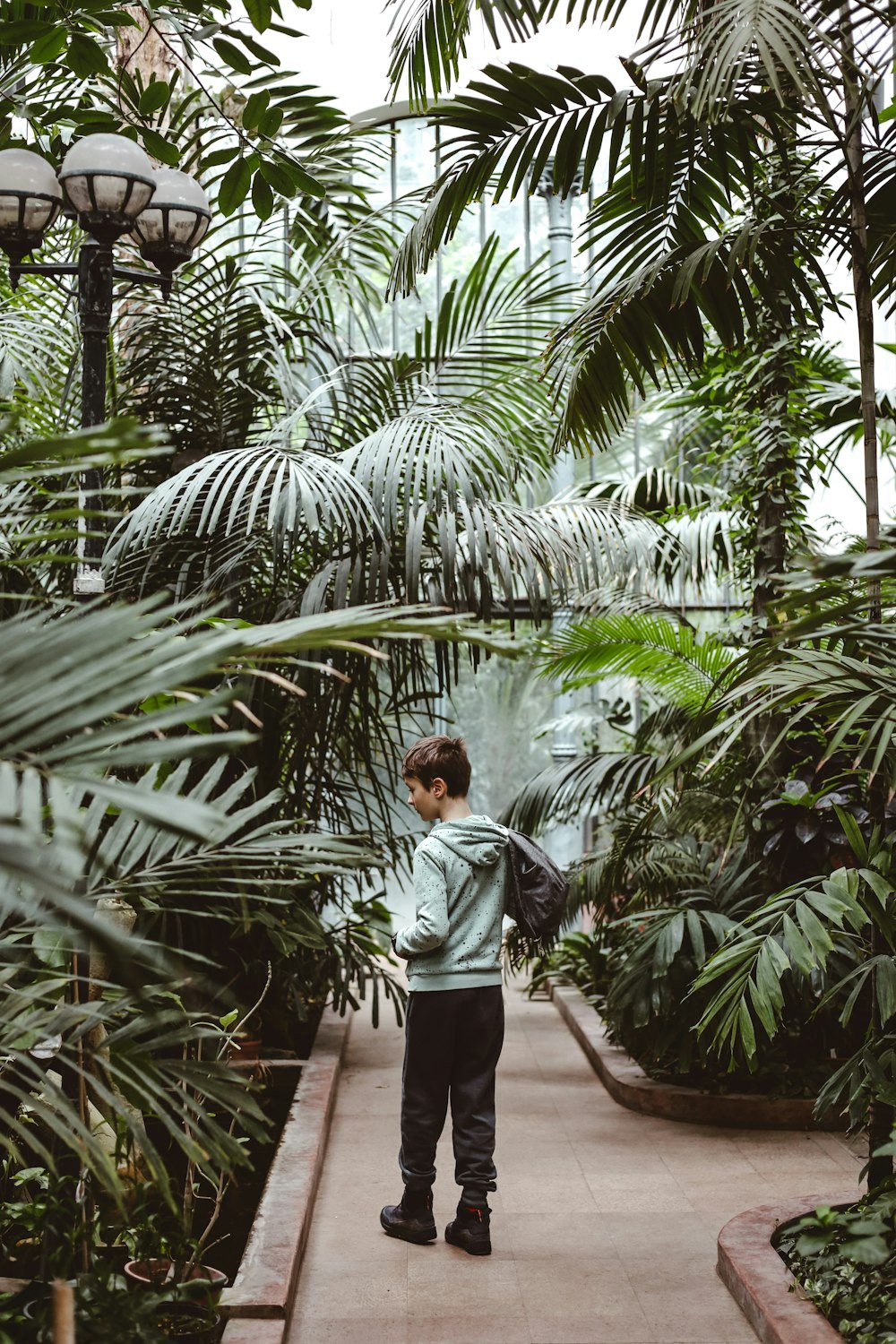 a person standing in a greenhouse with lots of plants