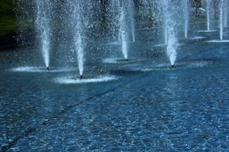 Several water fountains are arranged in a row, jetting streams of water high into the air above a calm pool with a textured surface. The water appears clear, and the overall atmosphere is serene and peaceful. Surrounding the fountains, there is a grassy area and some trees that provide a natural backdrop.