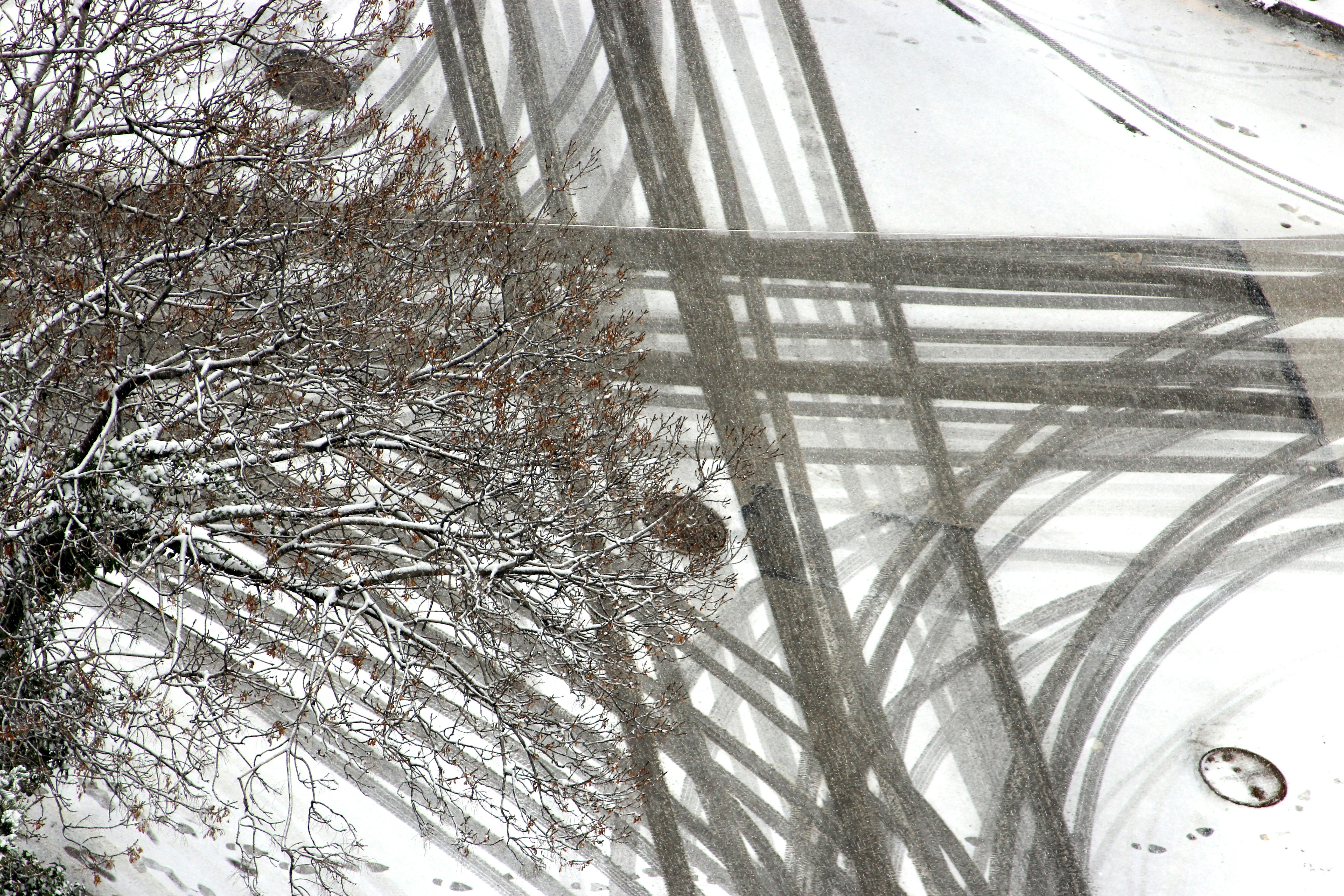 Ein Baum ohne Blätter im Schnee