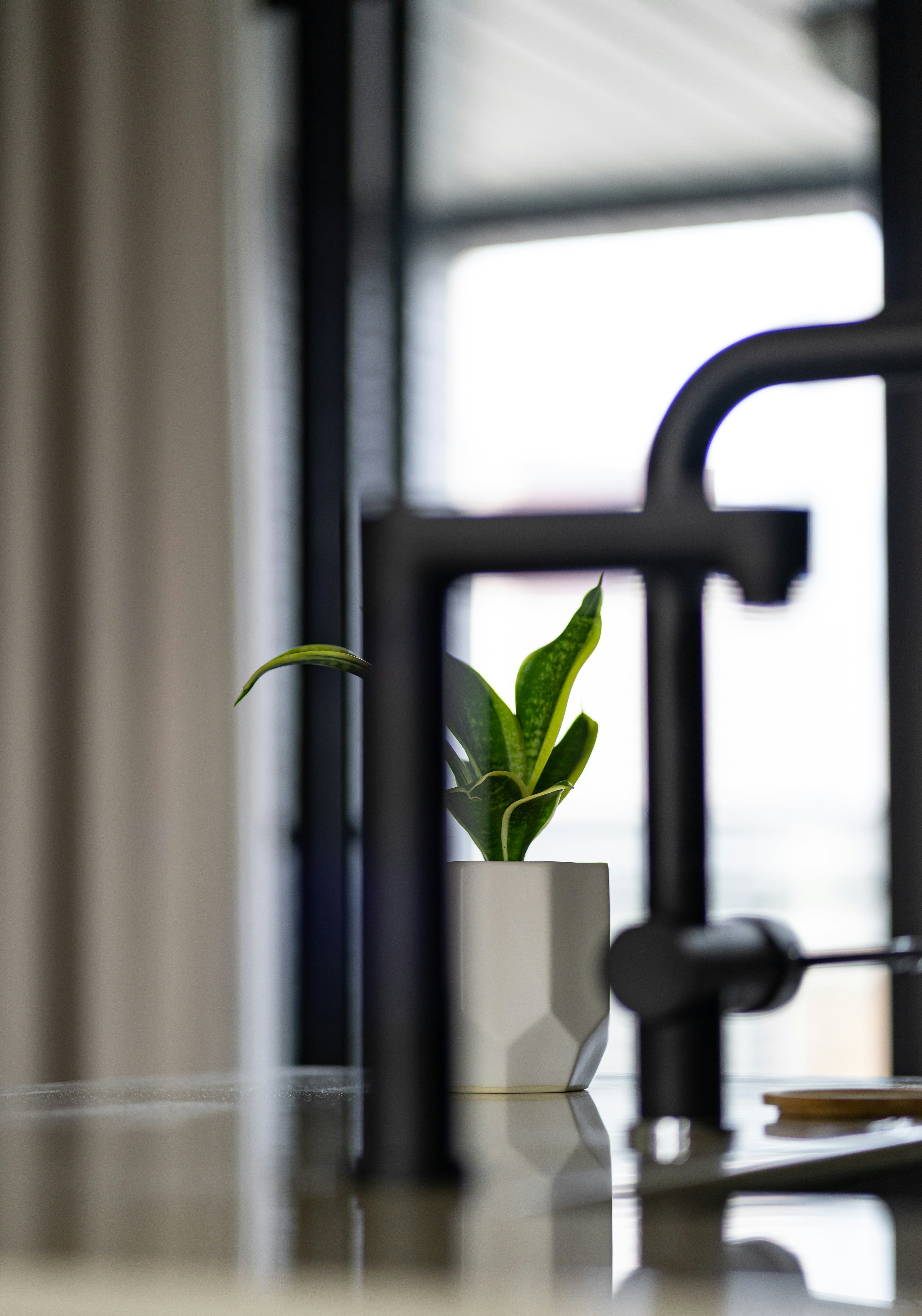 Photo by harrisonchang