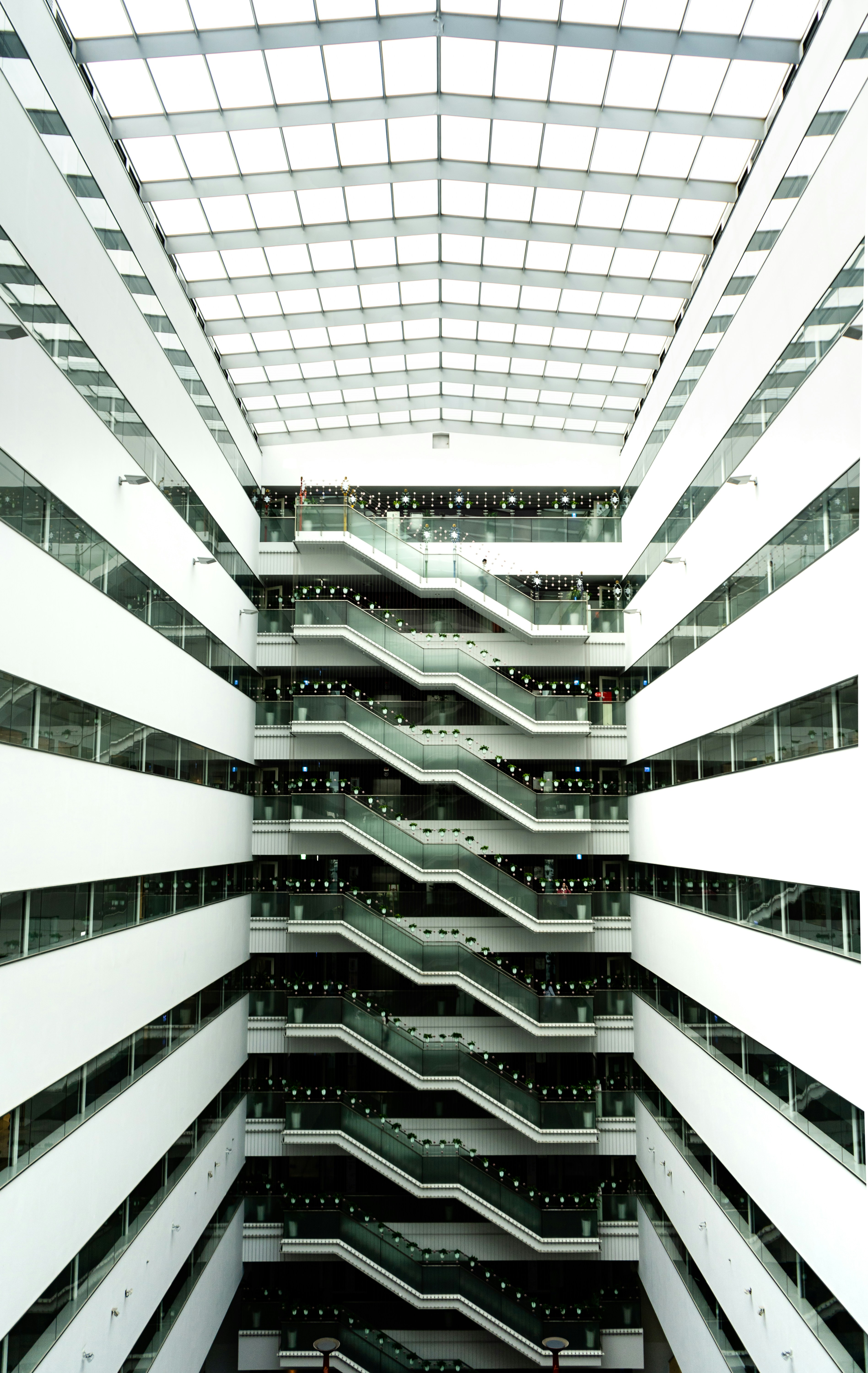 Photo by harrisonchang