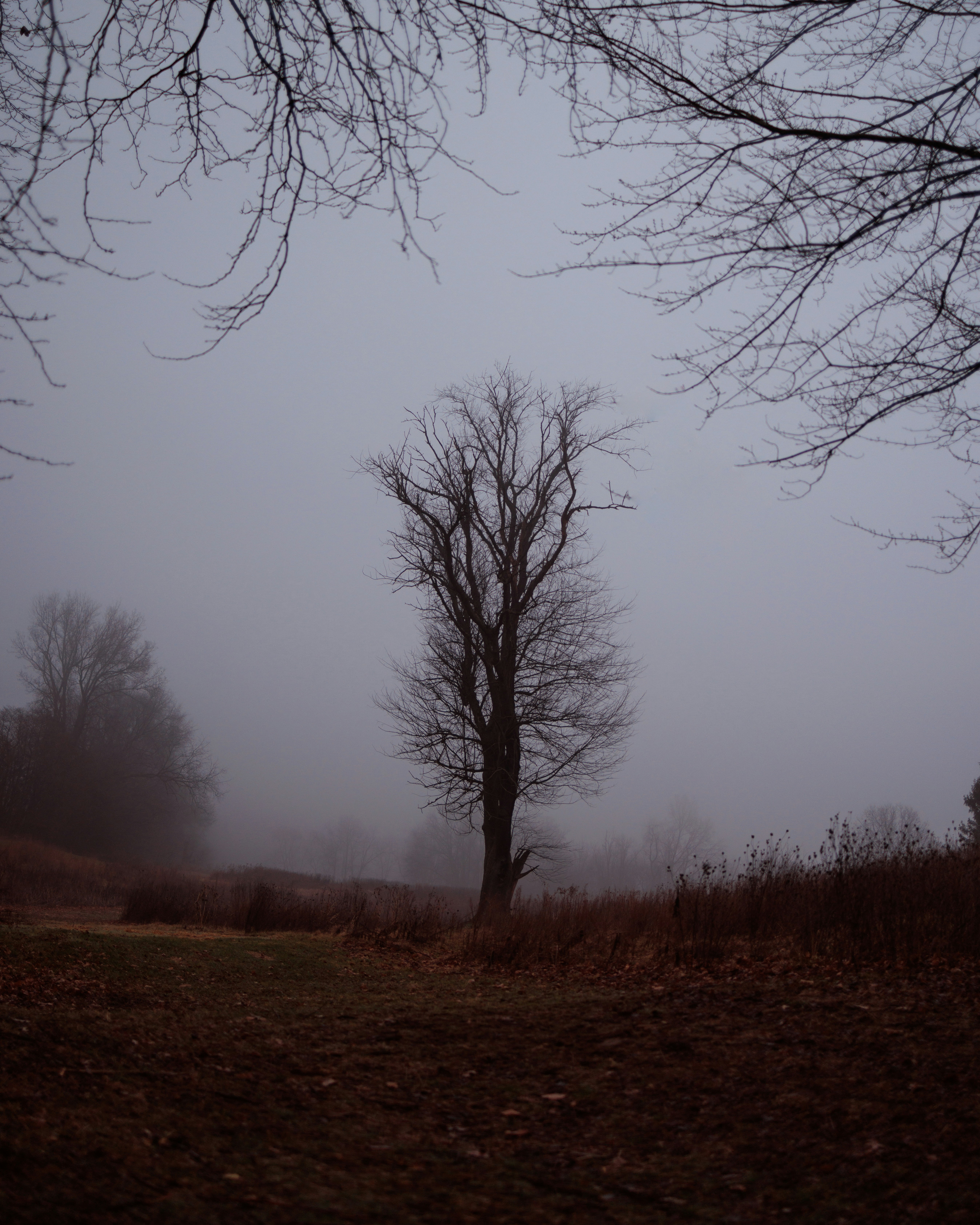 Photo by abject