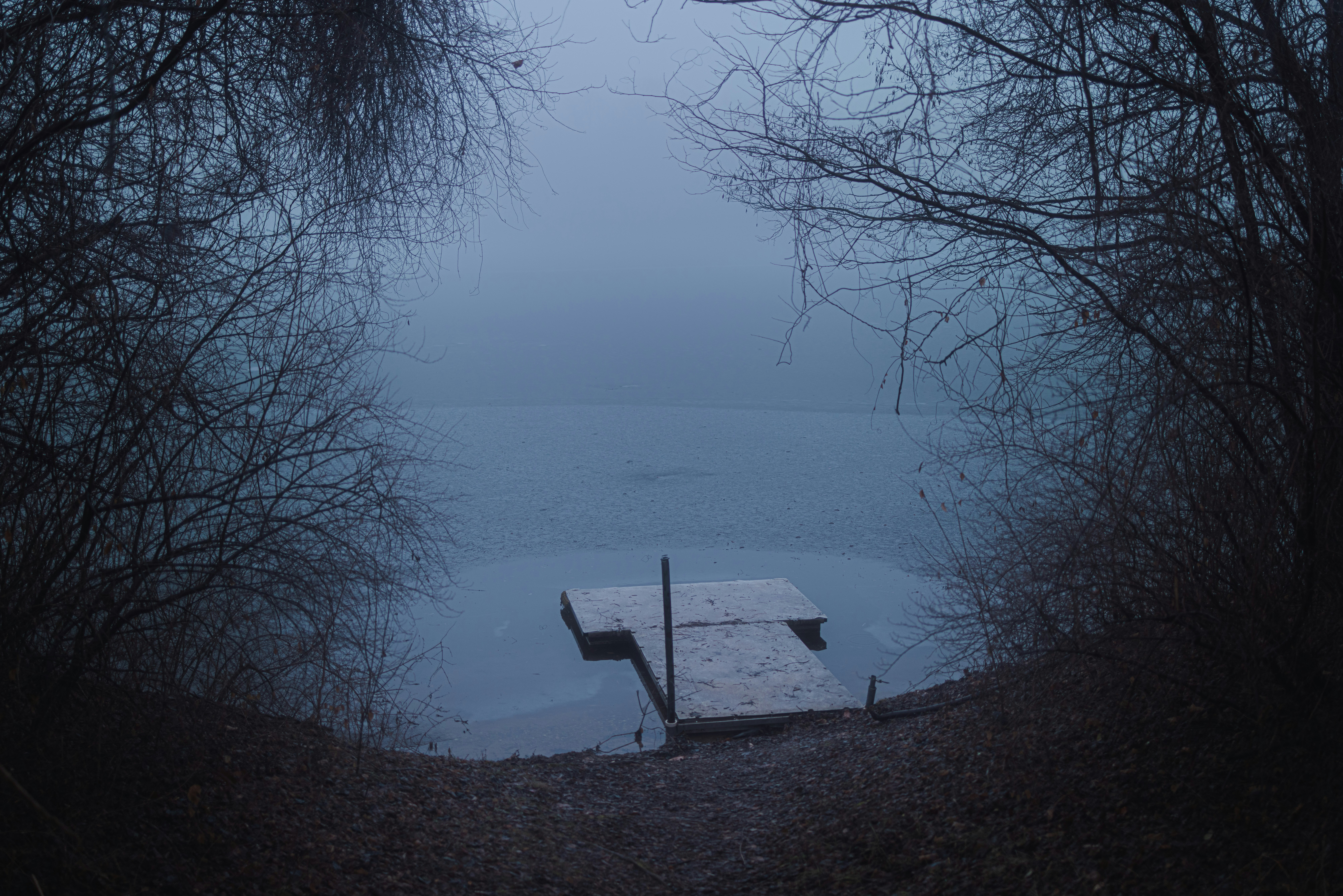 Photo by abject