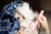 A small, fluffy white dog is bundled in a blue plaid blanket, looking cozy and snug. Nearby, a person holds a pink grooming brush, gently petting or grooming the dog with delicate care. The scene conveys warmth and affection.