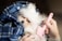 A small, fluffy white dog is bundled in a blue plaid blanket, looking cozy and snug. Nearby, a person holds a pink grooming brush, gently petting or grooming the dog with delicate care. The scene conveys warmth and affection.