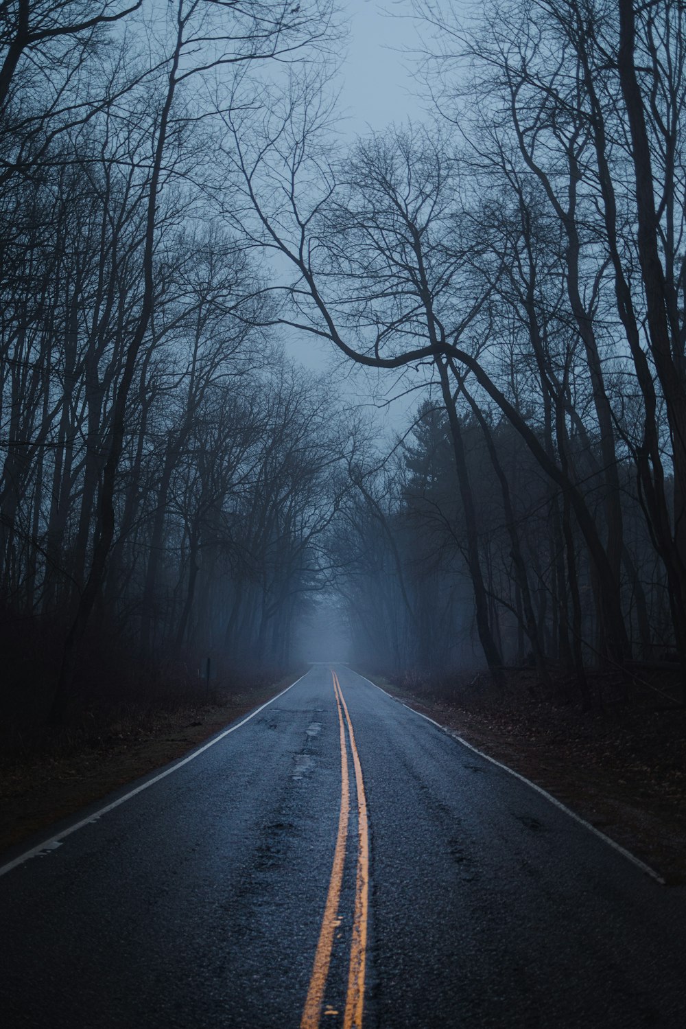 an empty road in the middle of a foggy forest