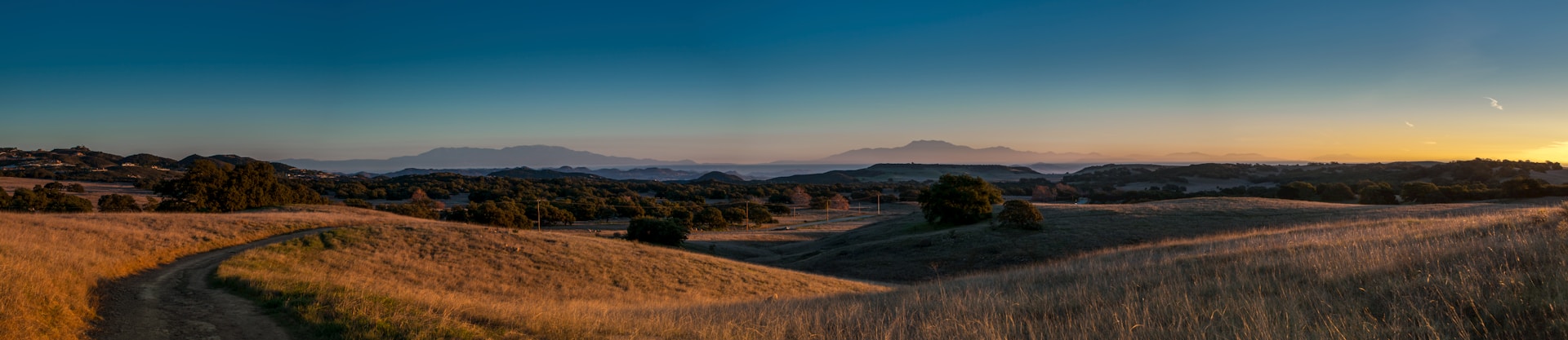 A panoramic view of sunlit Andalusian hills glowing golden under a soft sunset sky with depth of field highlighting the waving grass.