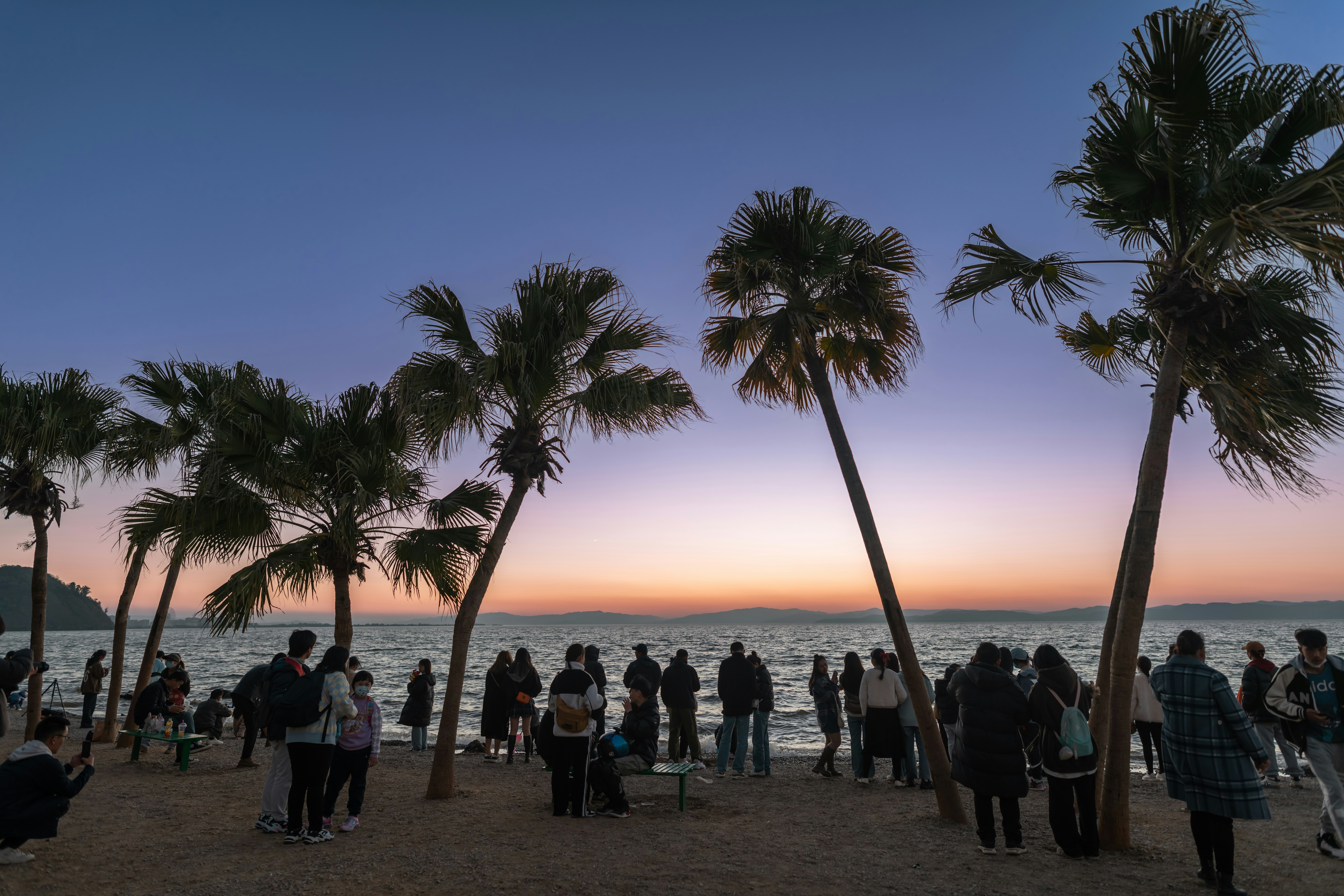 A group of people standing on top of a sandy beach photo – Free Beach ...
