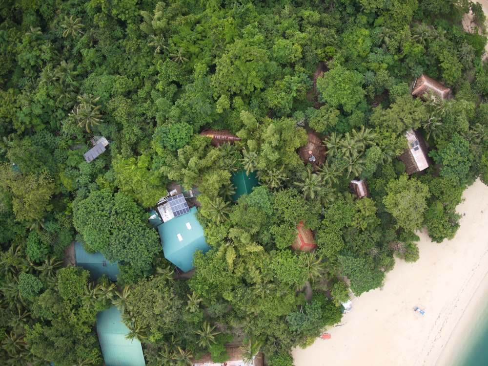 an aerial view of a tropical island with a white sand beach