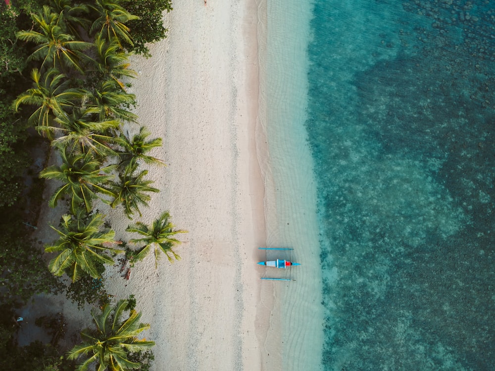 an aerial view of a beach with palm trees