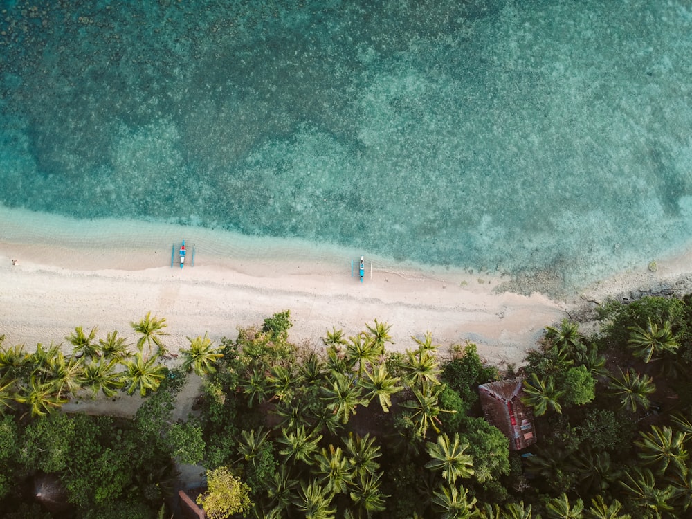 an aerial view of two beach chairs on a tropical beach