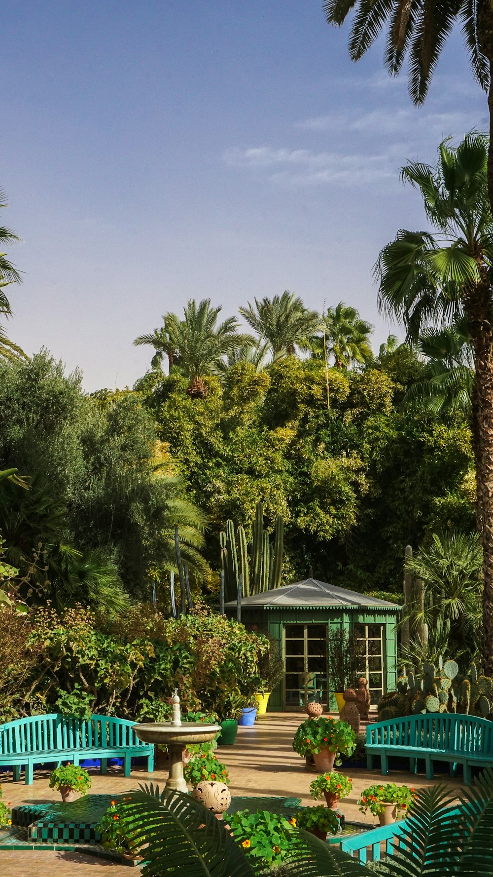 a group of blue benches sitting next to a lush green forest