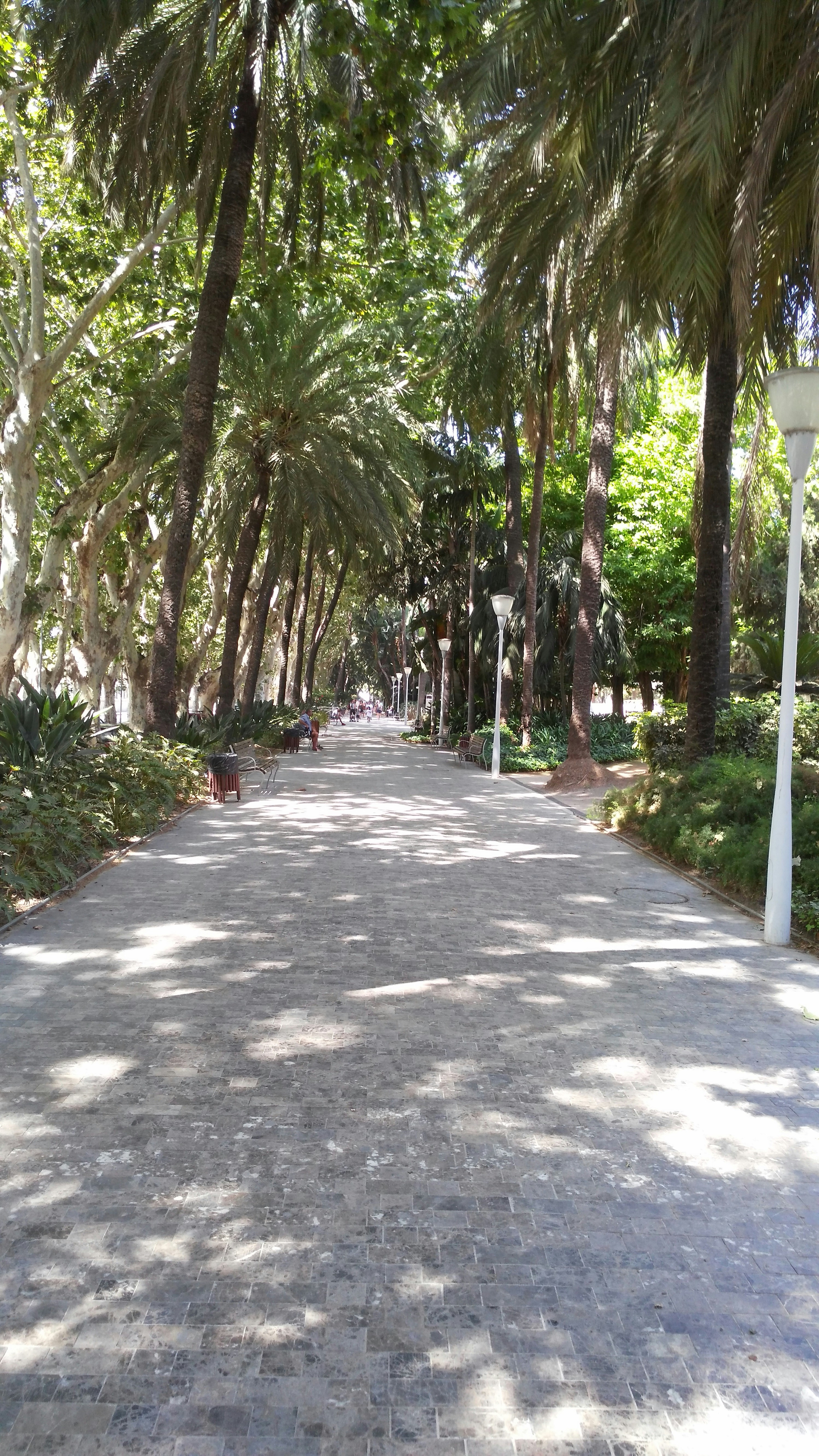 Photo by olesia_libra