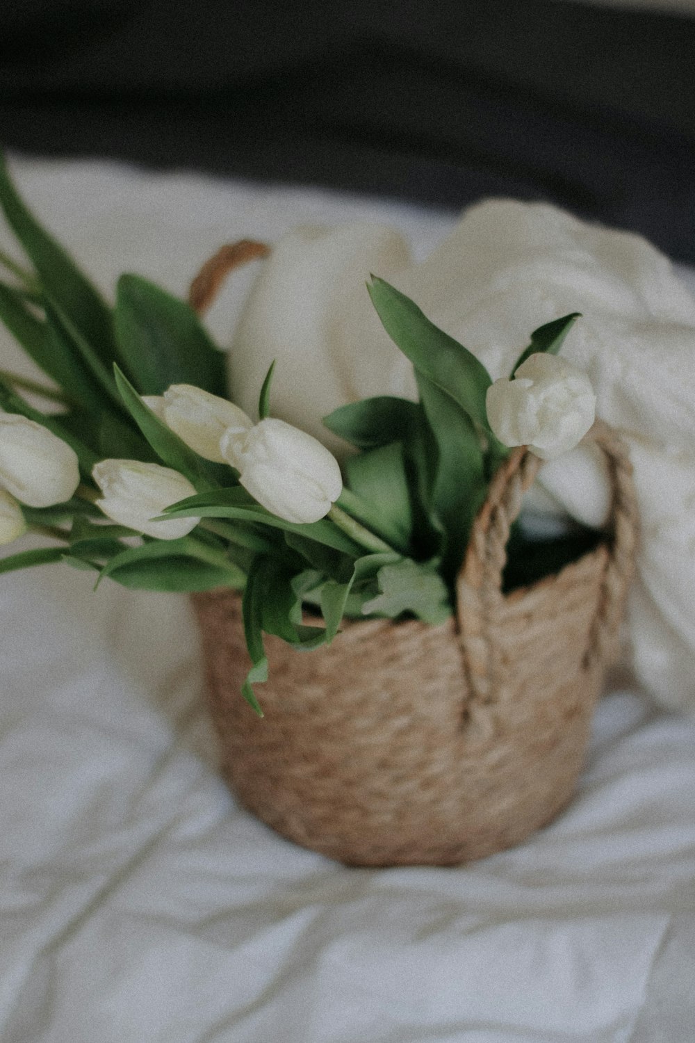 a basket filled with white flowers on top of a bed