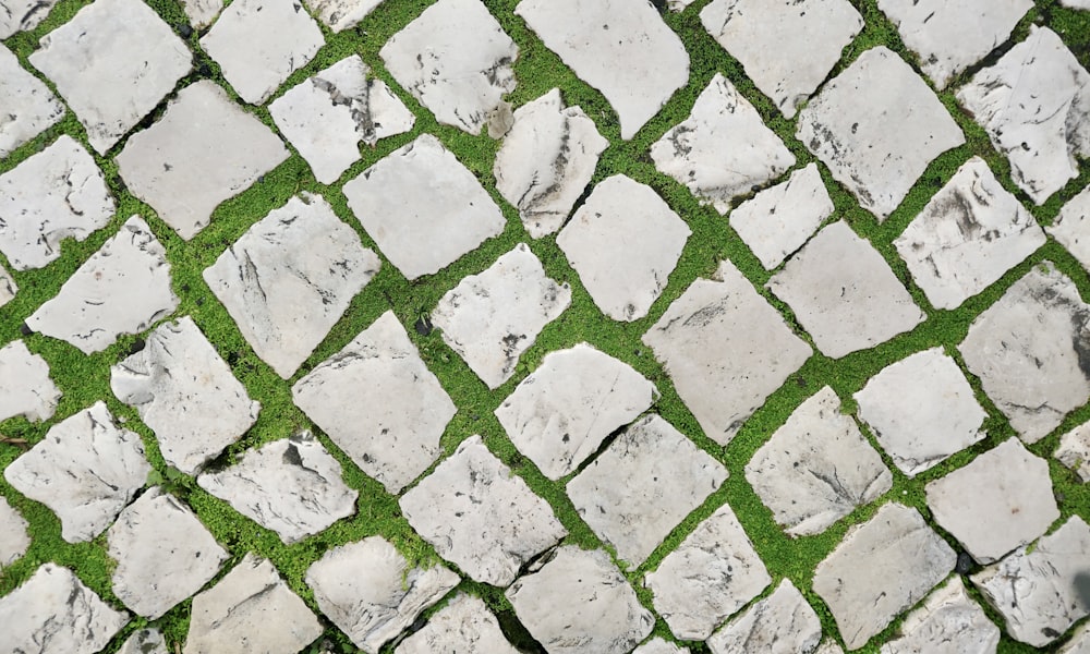 a close up of a brick walkway with grass growing on it