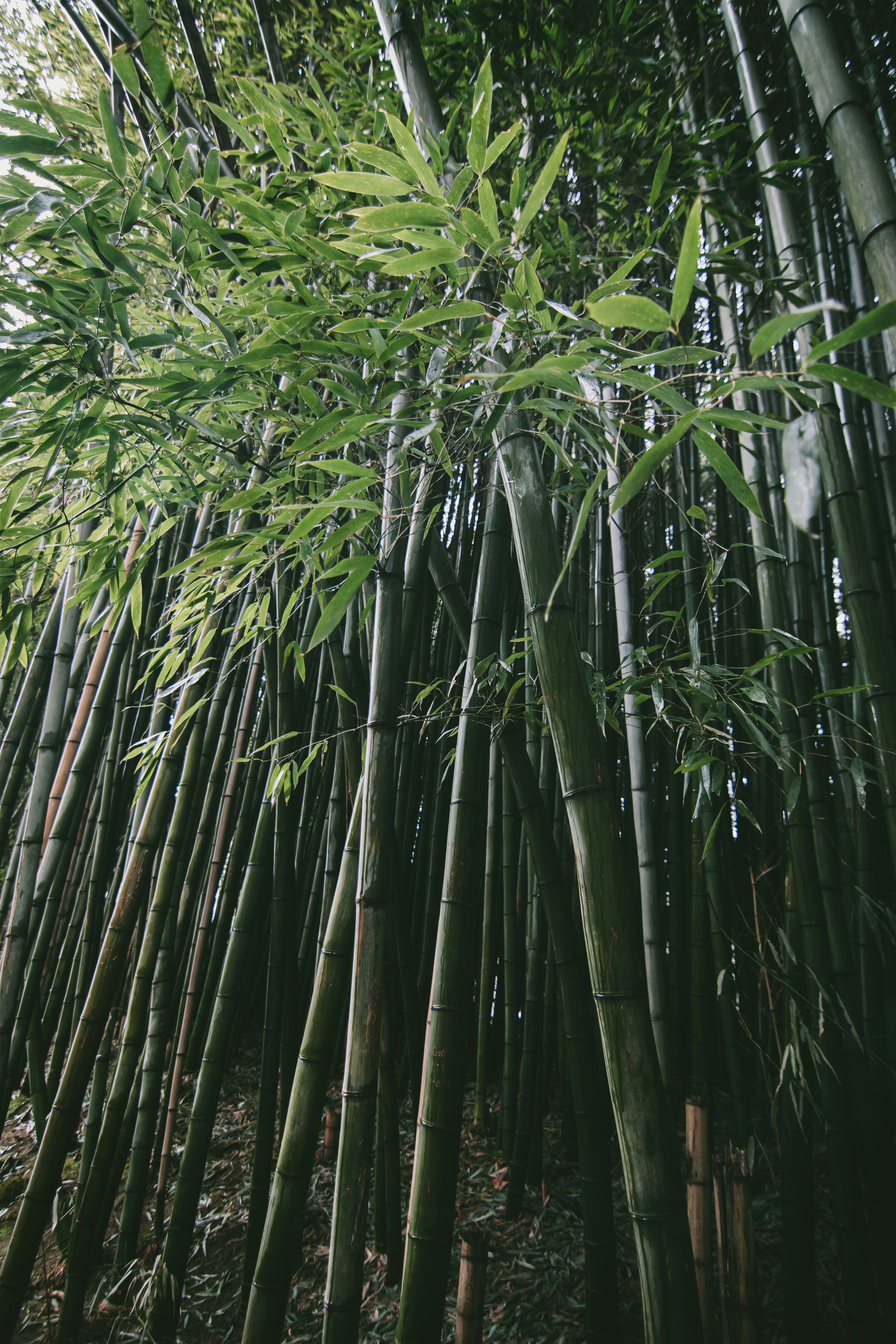 Photo by brice_cooper18