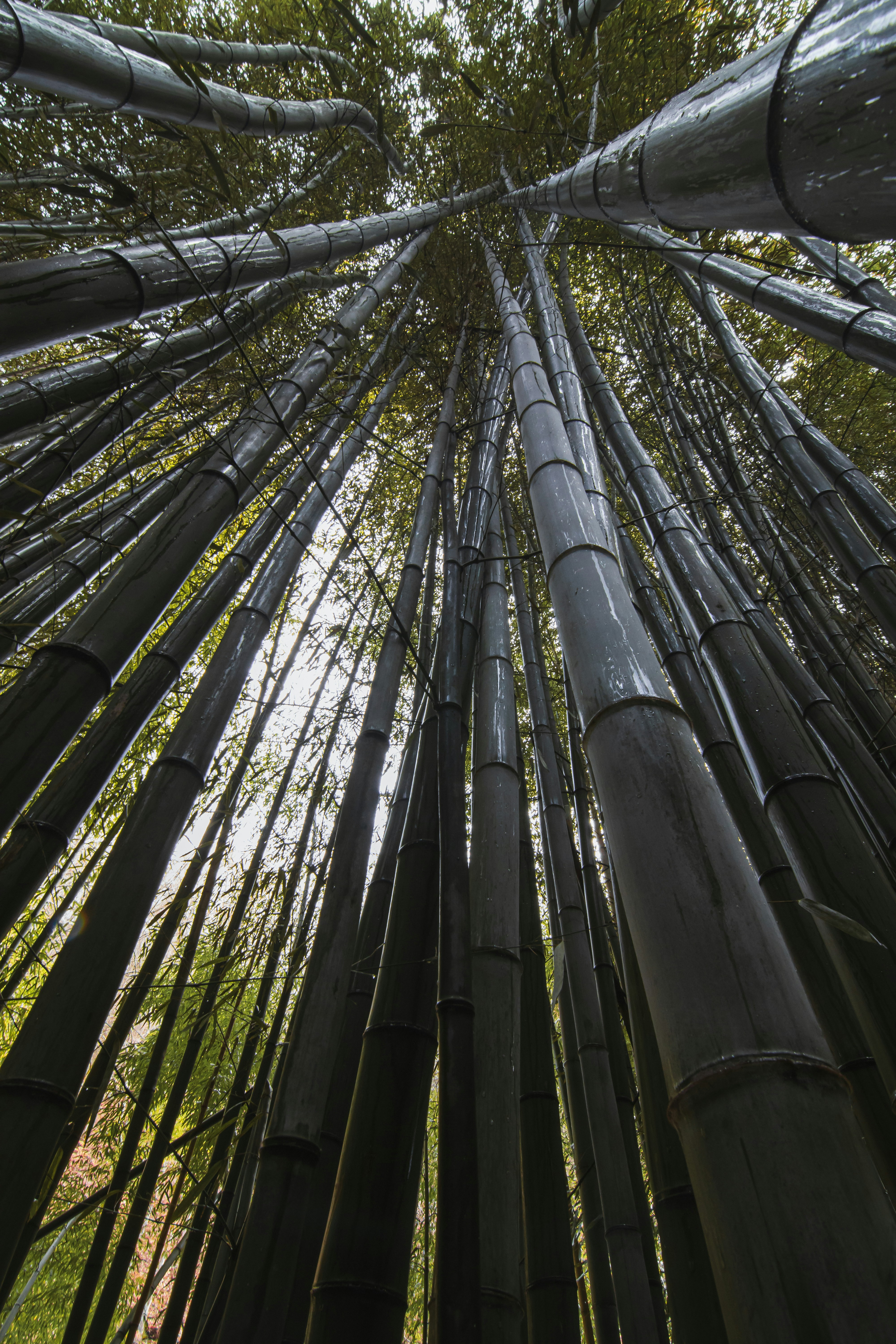 Photo by brice_cooper18