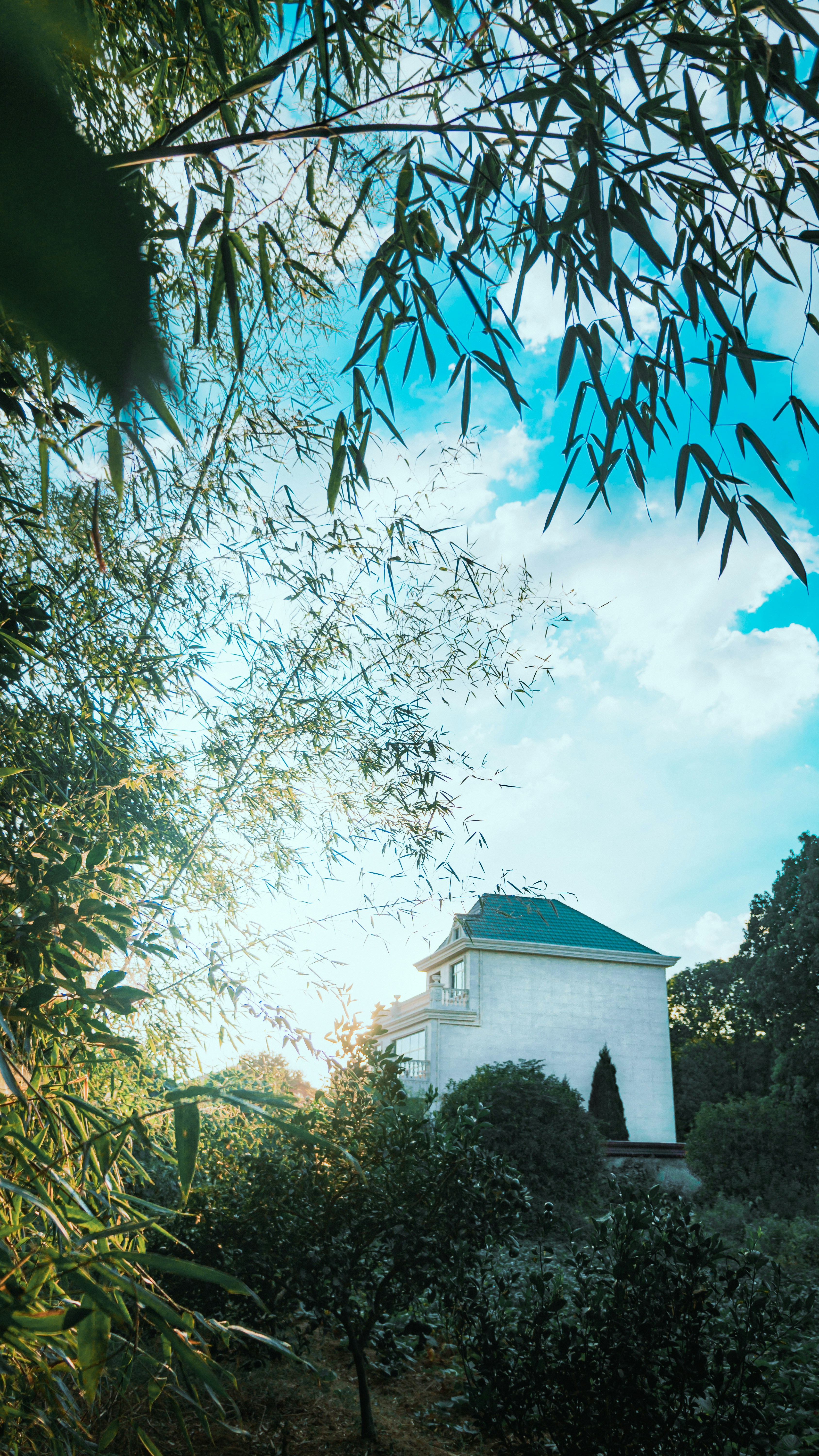 Photo by hausyang271