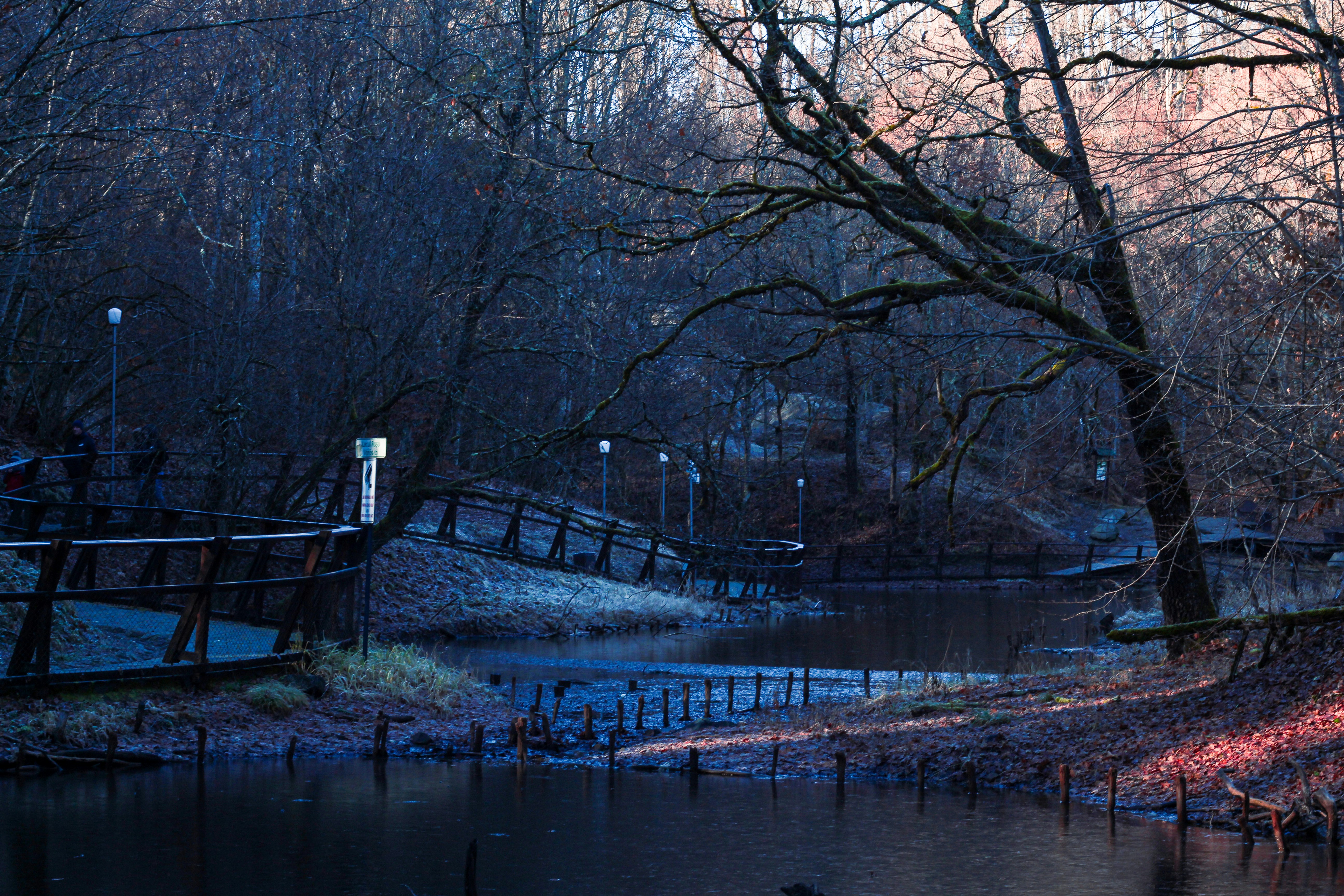 Photo by alexmartisca