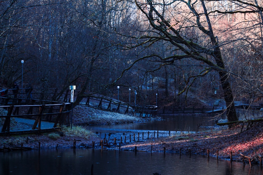 a small wooden bridge over a small body of water