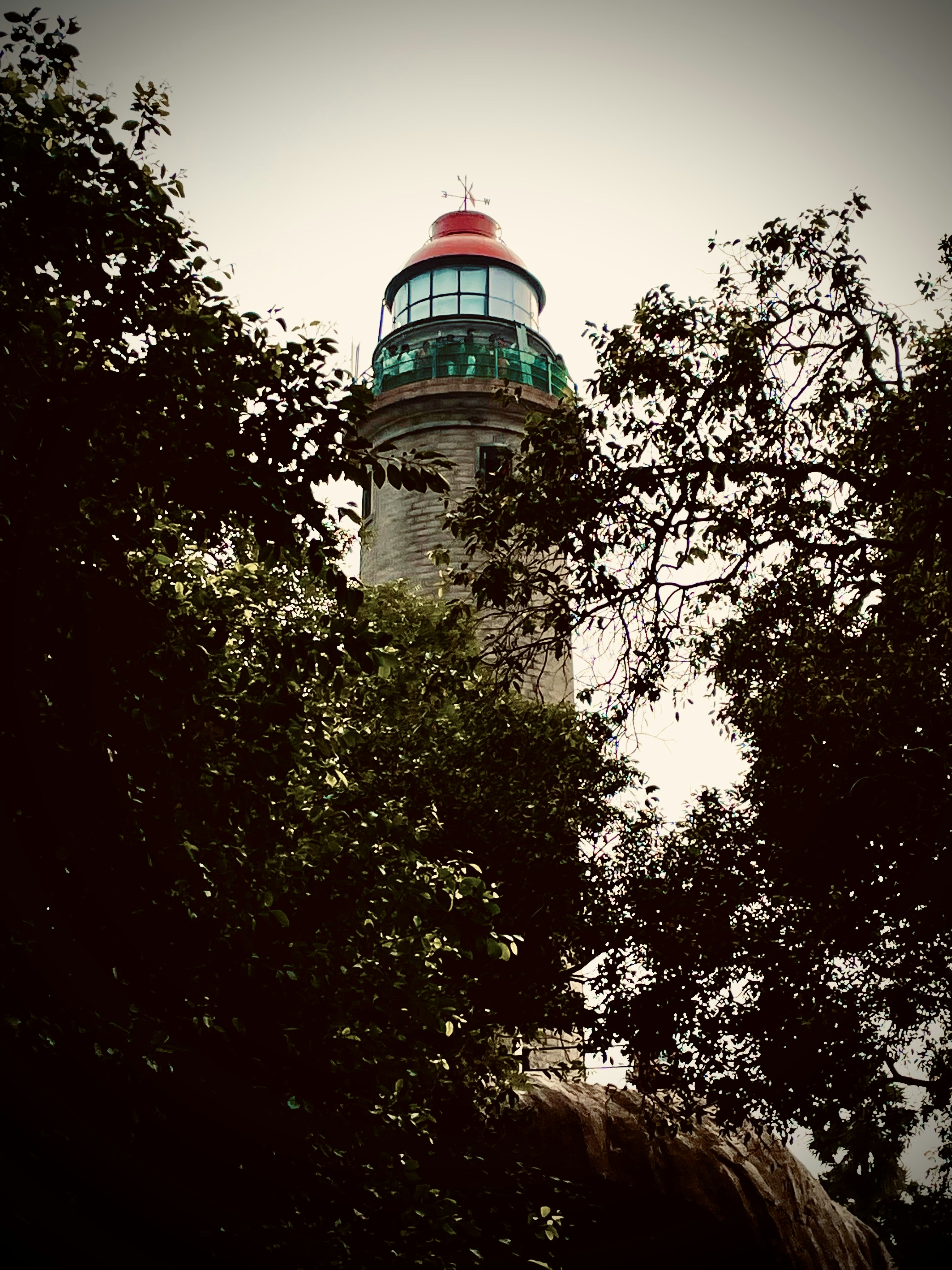 Photo by dr_nirala