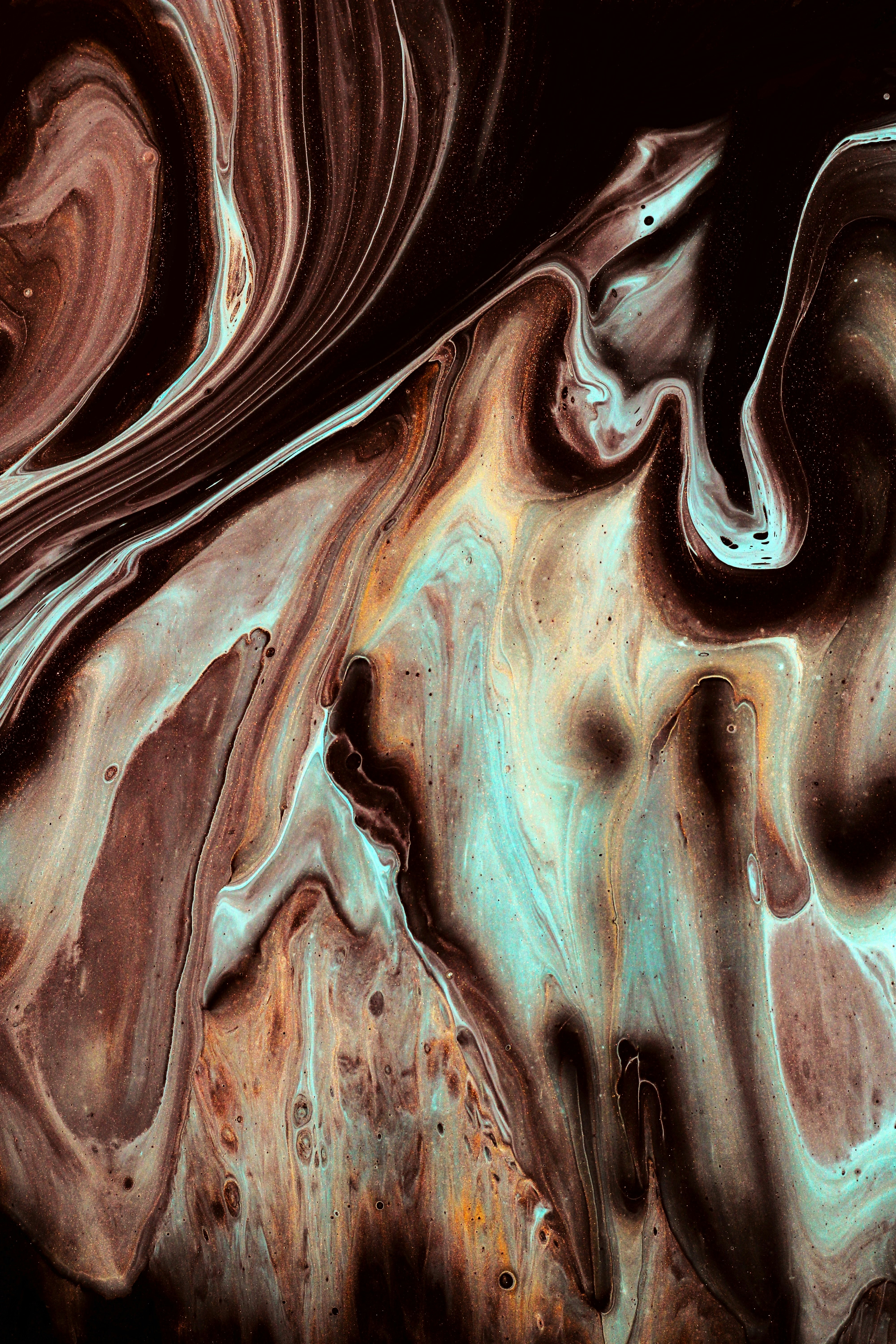 Photo by susan_wilkinson