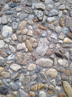 A variety of stones and pebbles in different shapes and sizes are embedded in a concrete-like surface, giving the appearance of a natural rock mosaic.