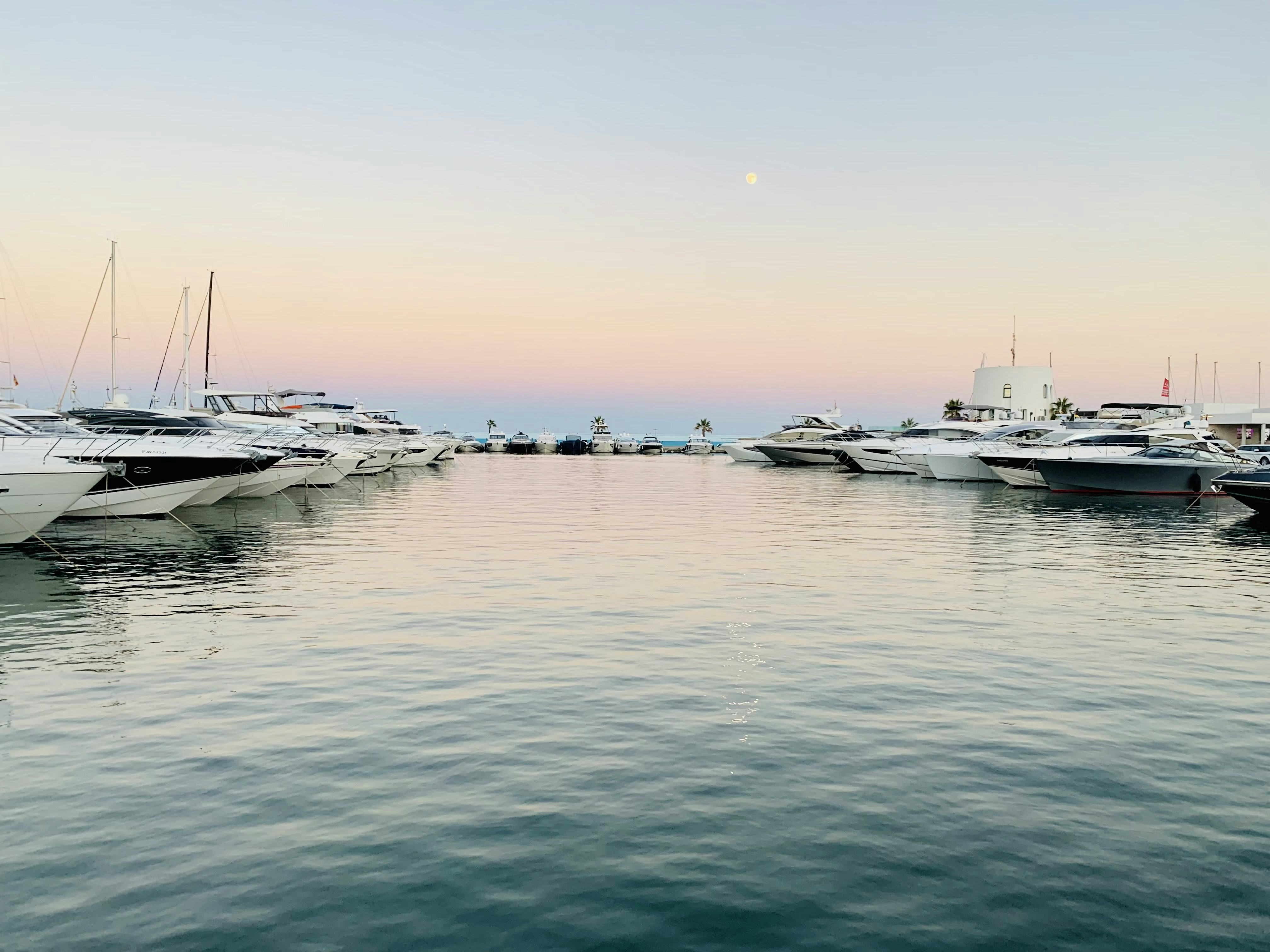 Photo by johnnygthorpe11