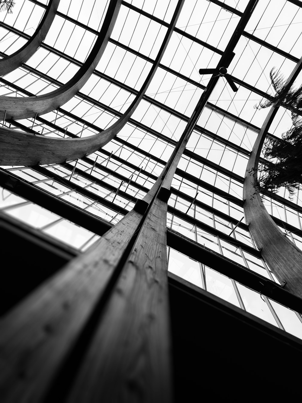 a black and white photo of a ceiling