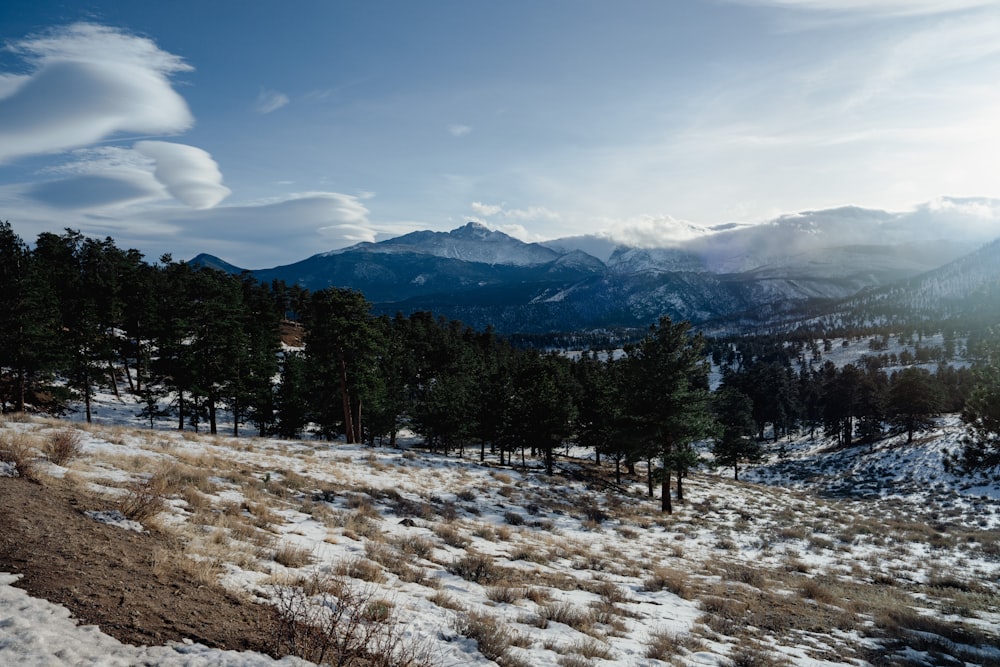 a snow covered field with trees and mountains in the background